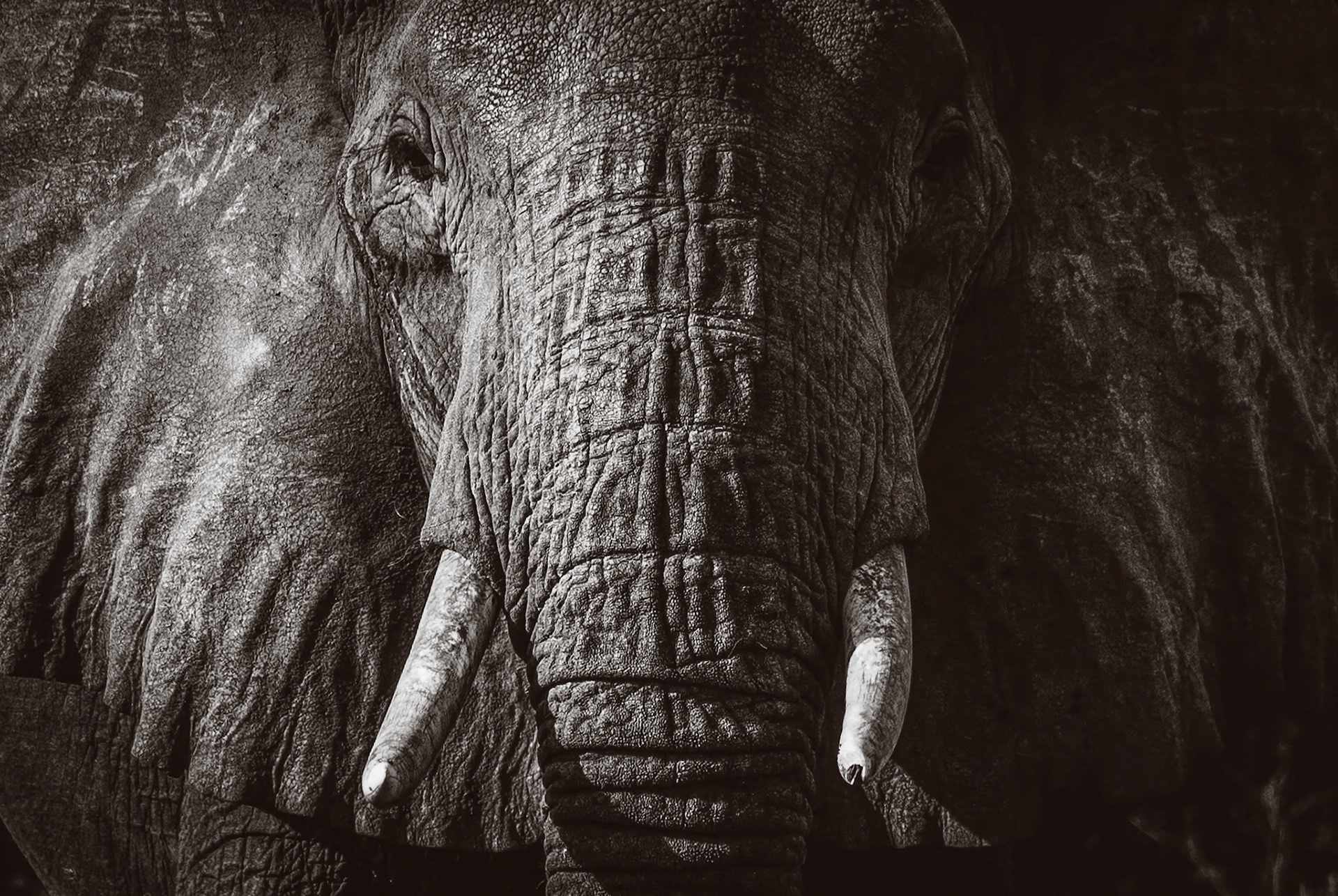 Murchison Falls, Uganda