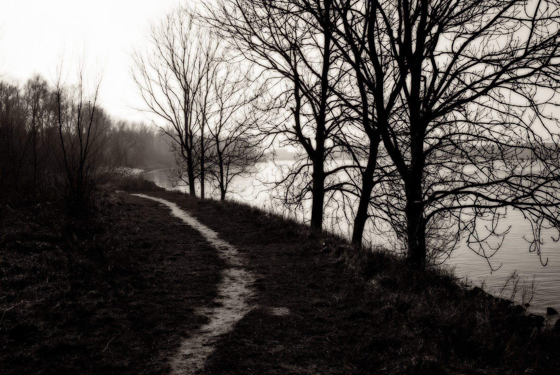 Diemer Vijfhoek, Amsterdam, Netherlands