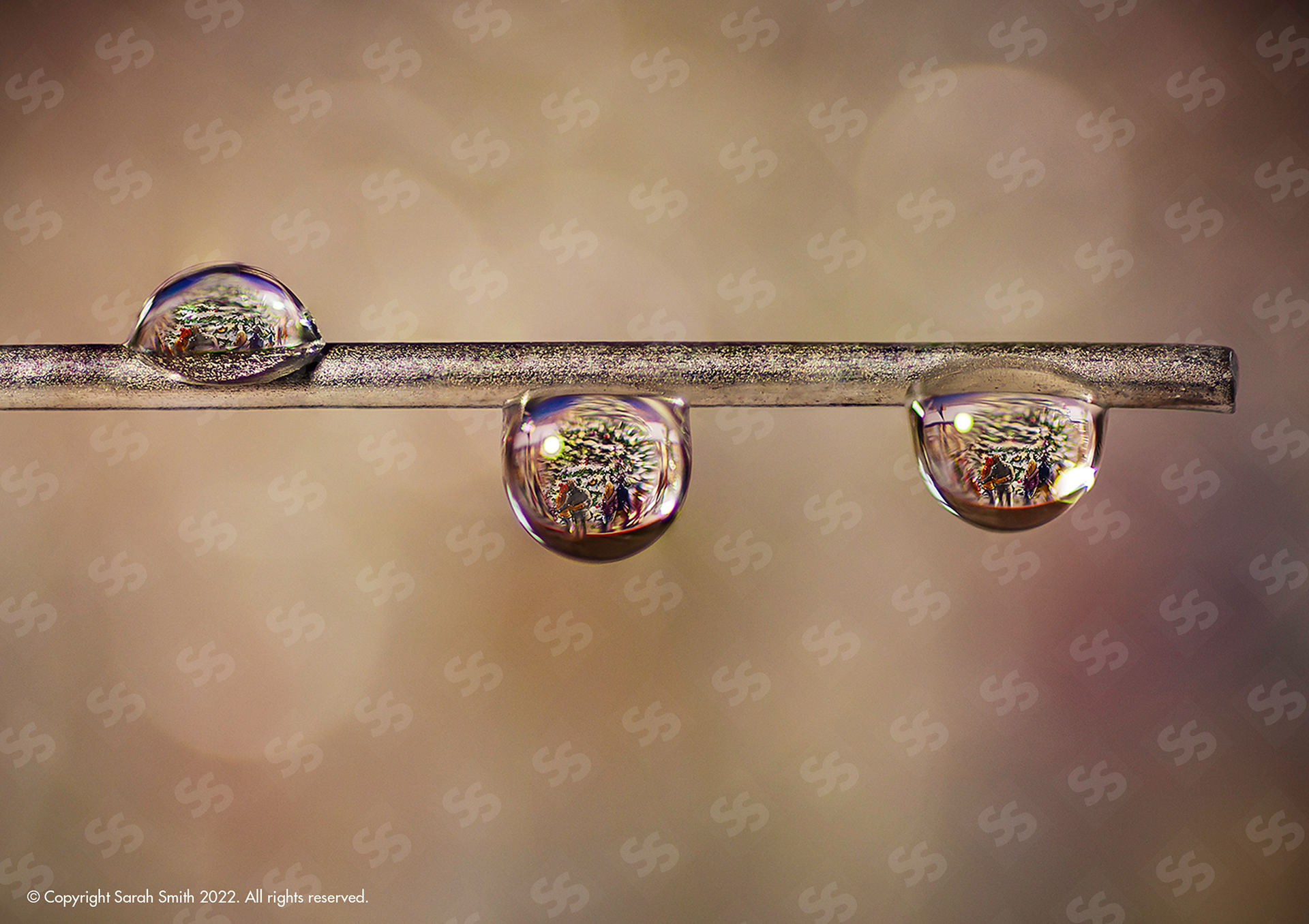 Water Drops, UK