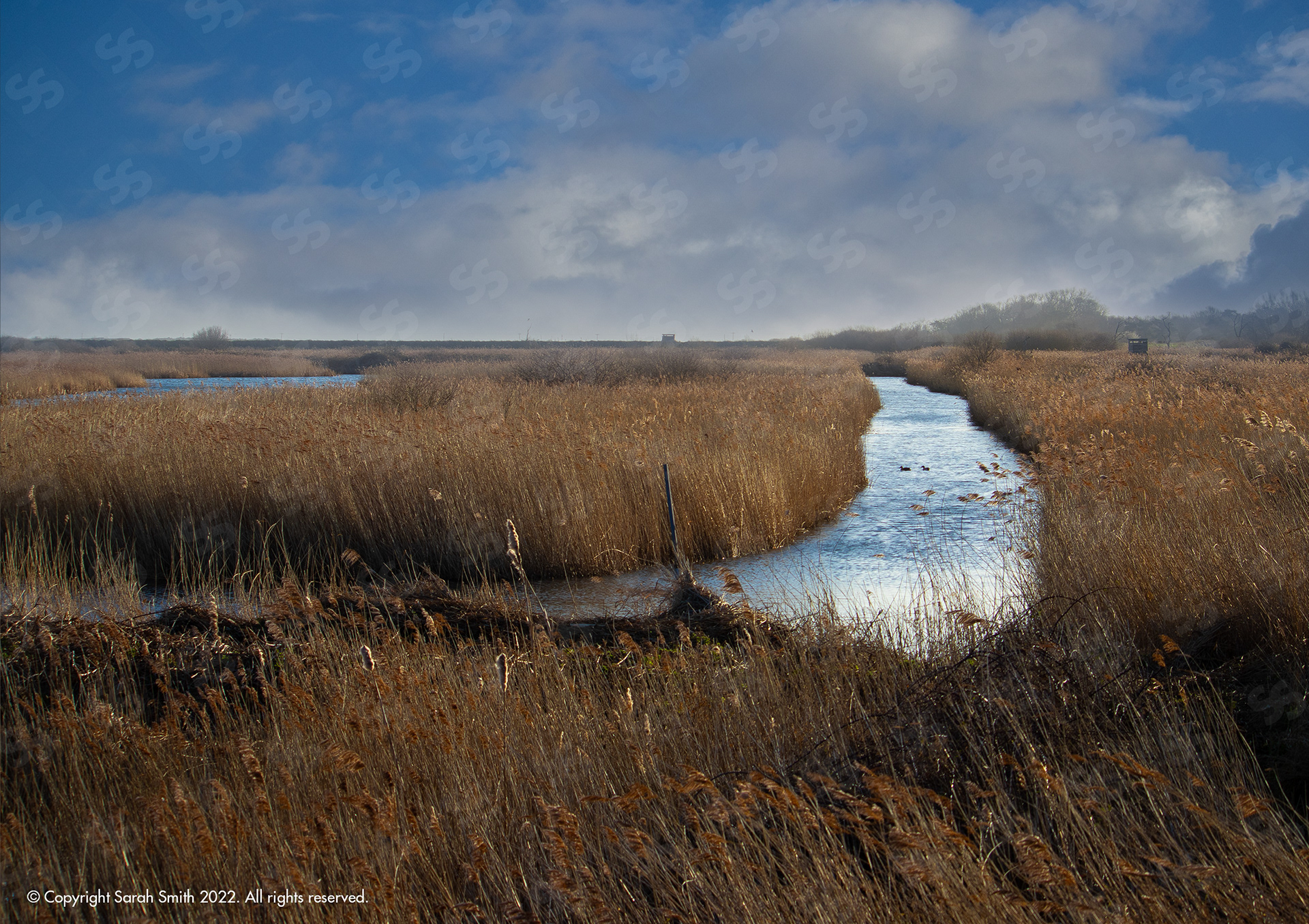 Norfolk Landscape, UK