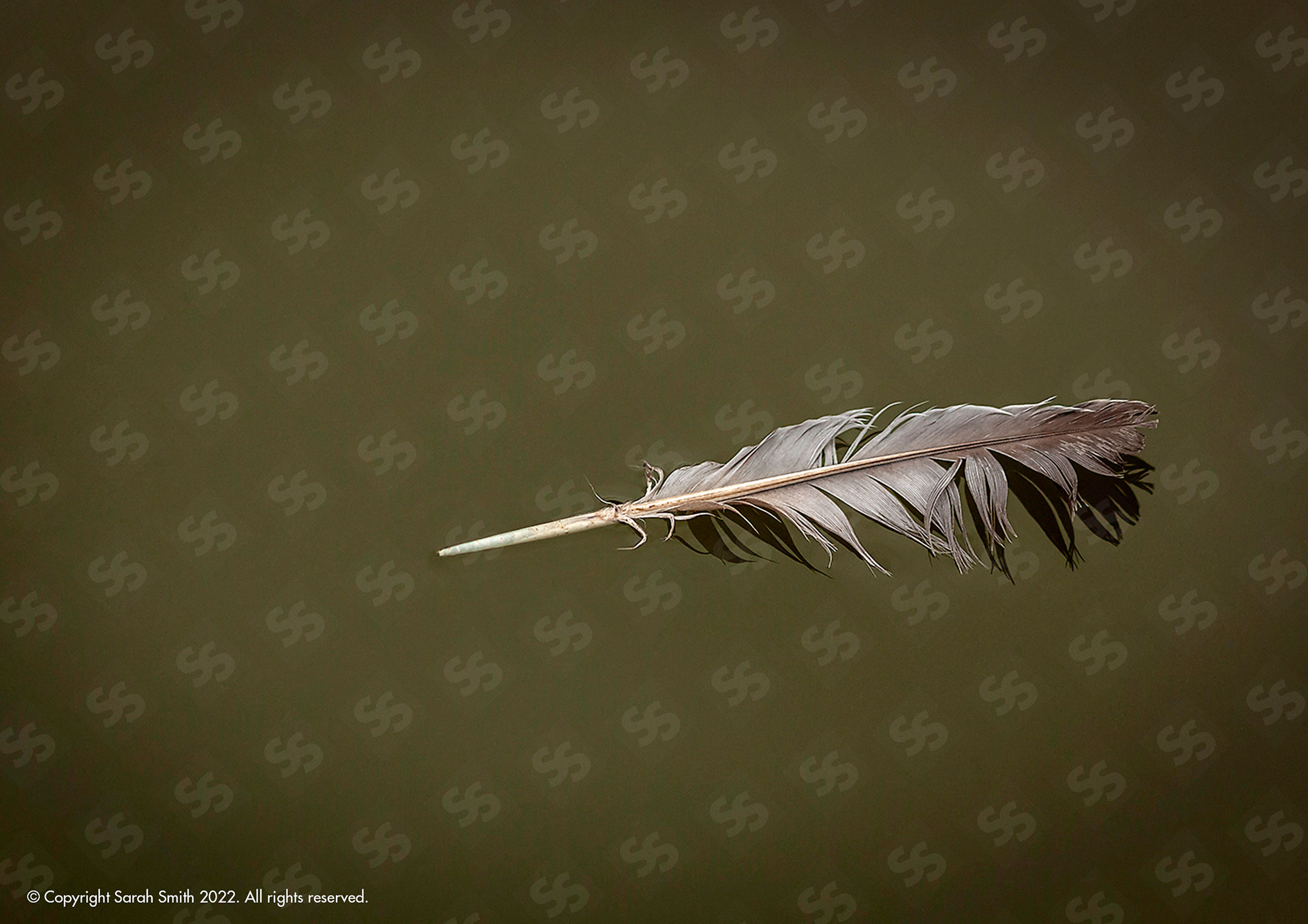 Floating Feather, UK