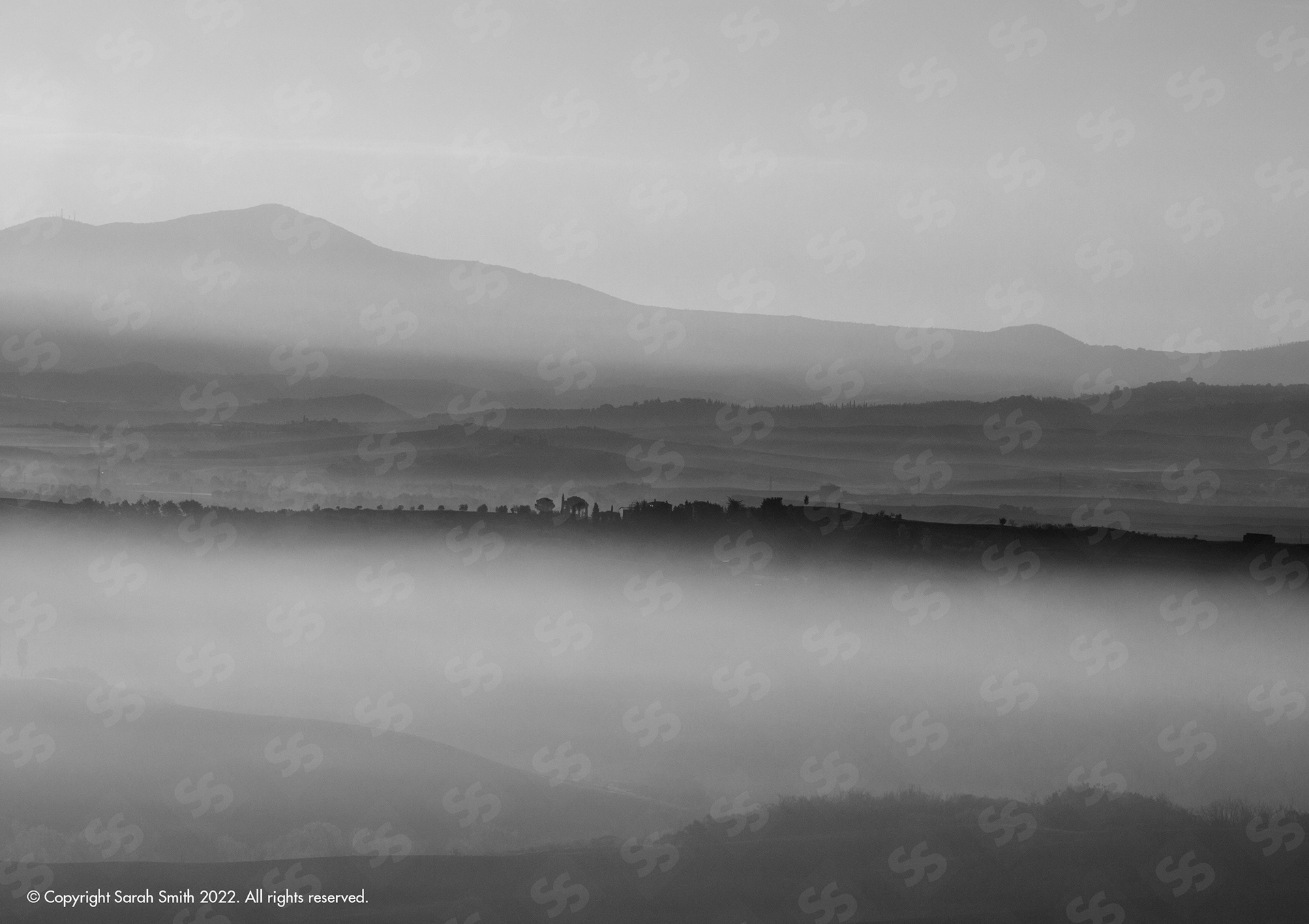 Misty Morning, Tuscany, Italy