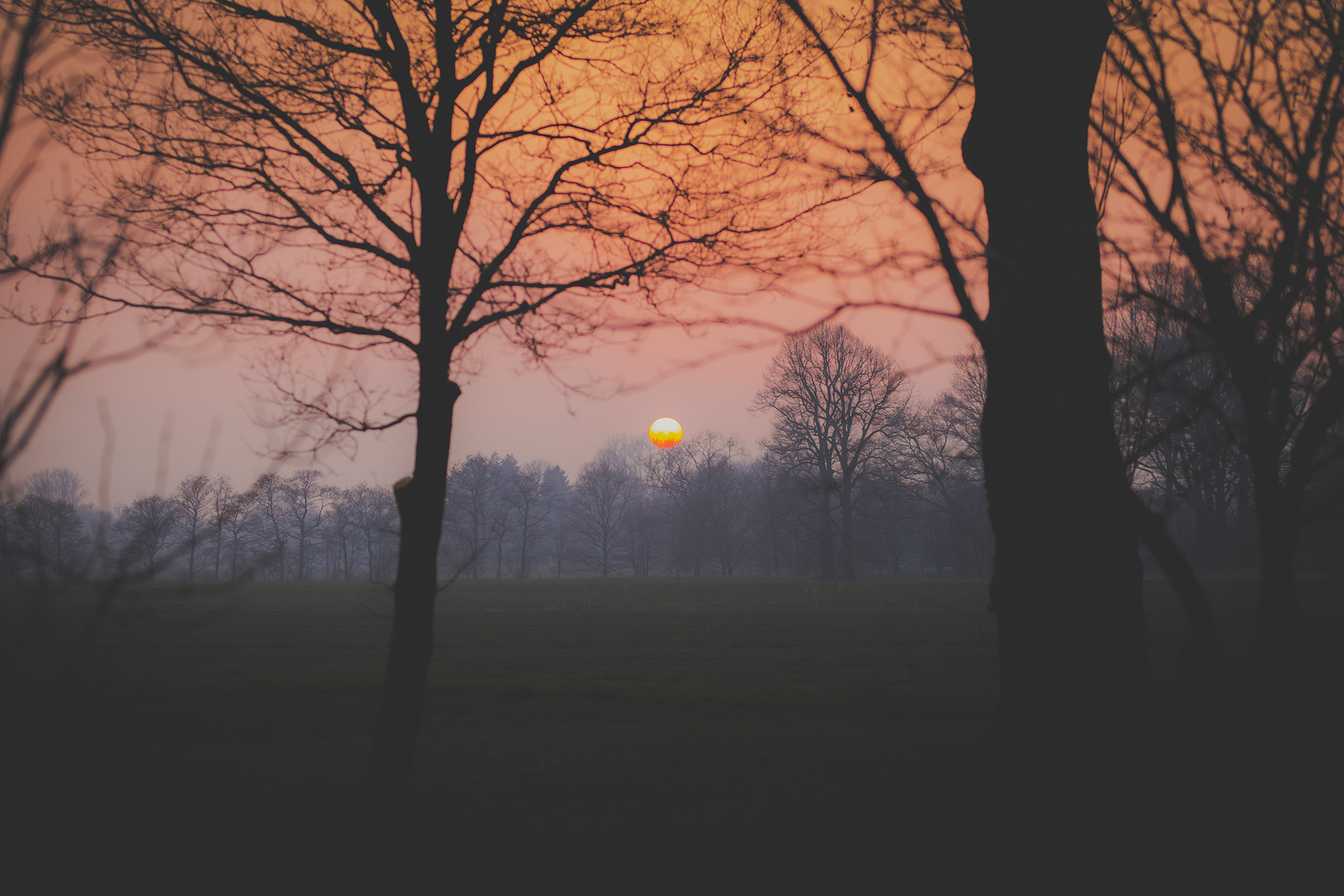 sunset