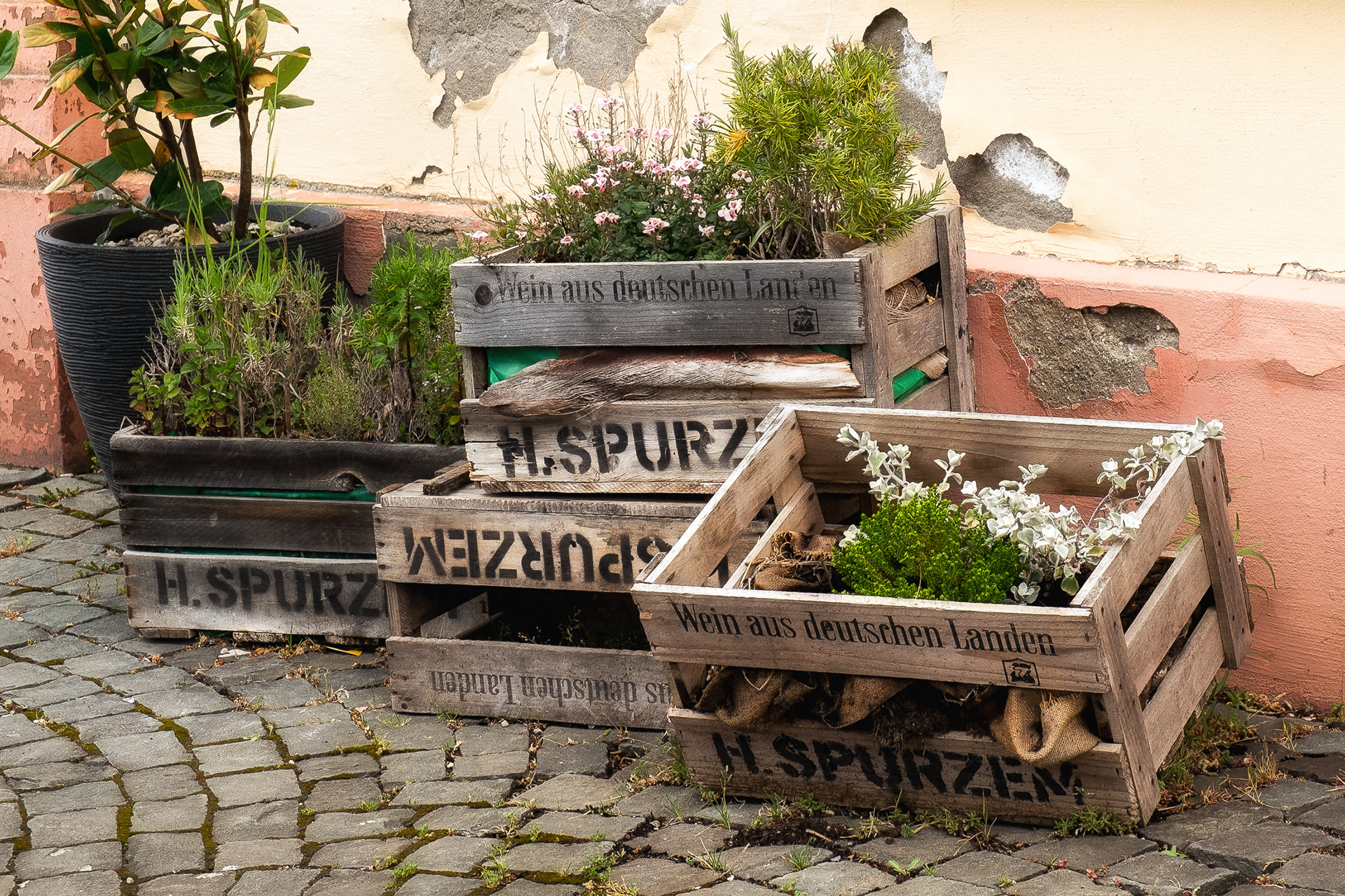 Street Garden