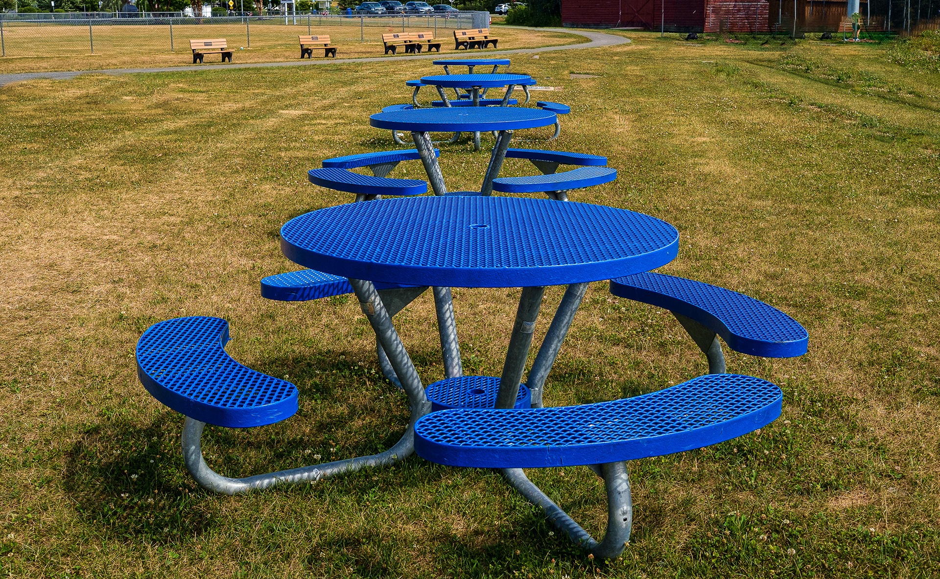 Blue Tables and Tan Benches - Assigned Topic: Things In A Row