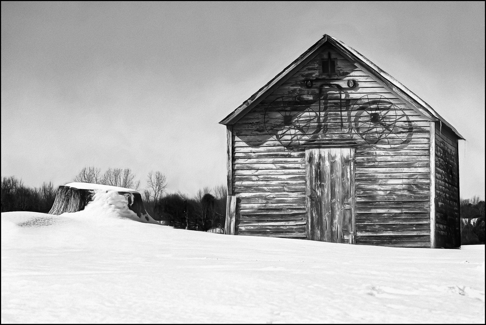 Stump & Shed