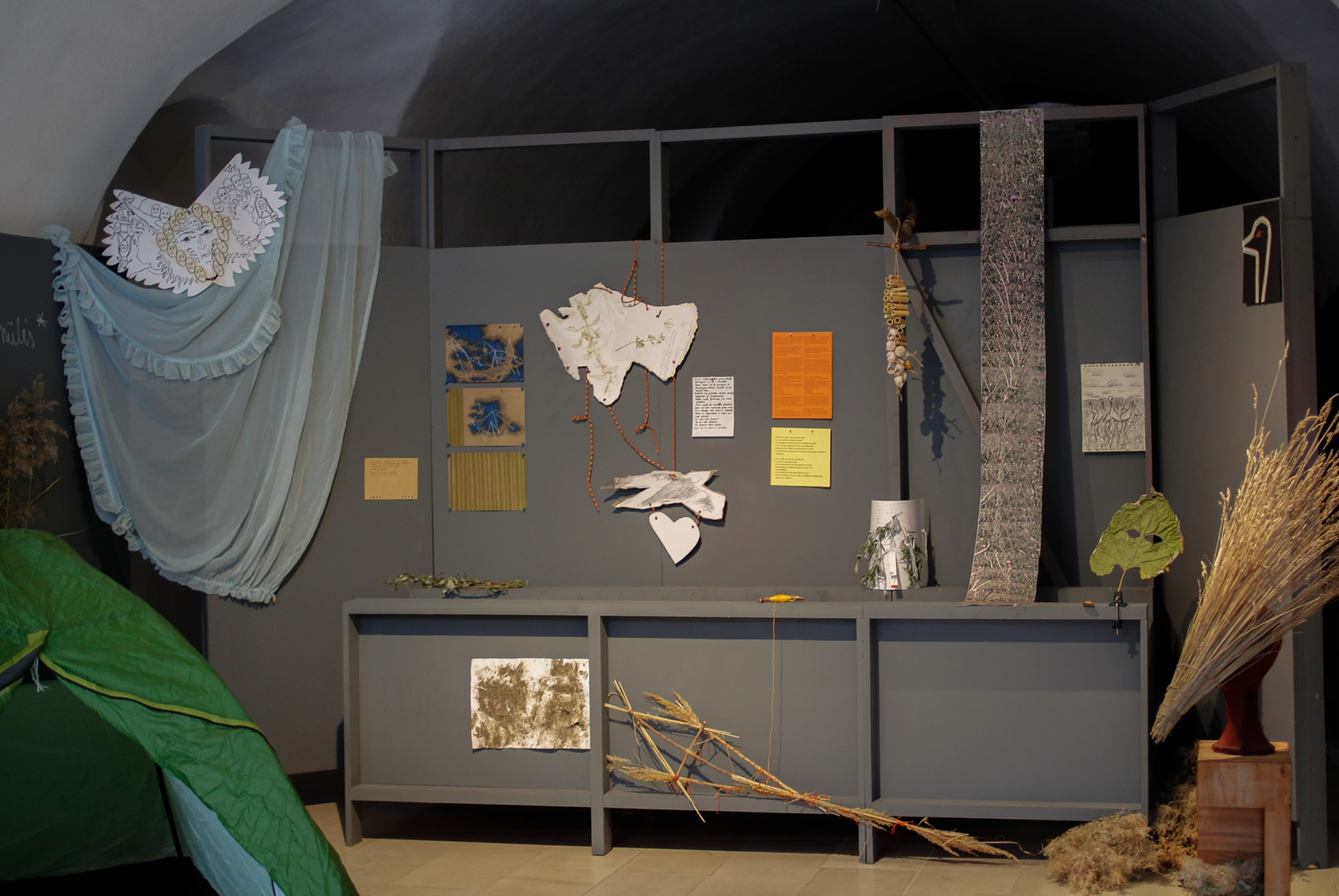 The Ecology of Coexistence. Collective Installation