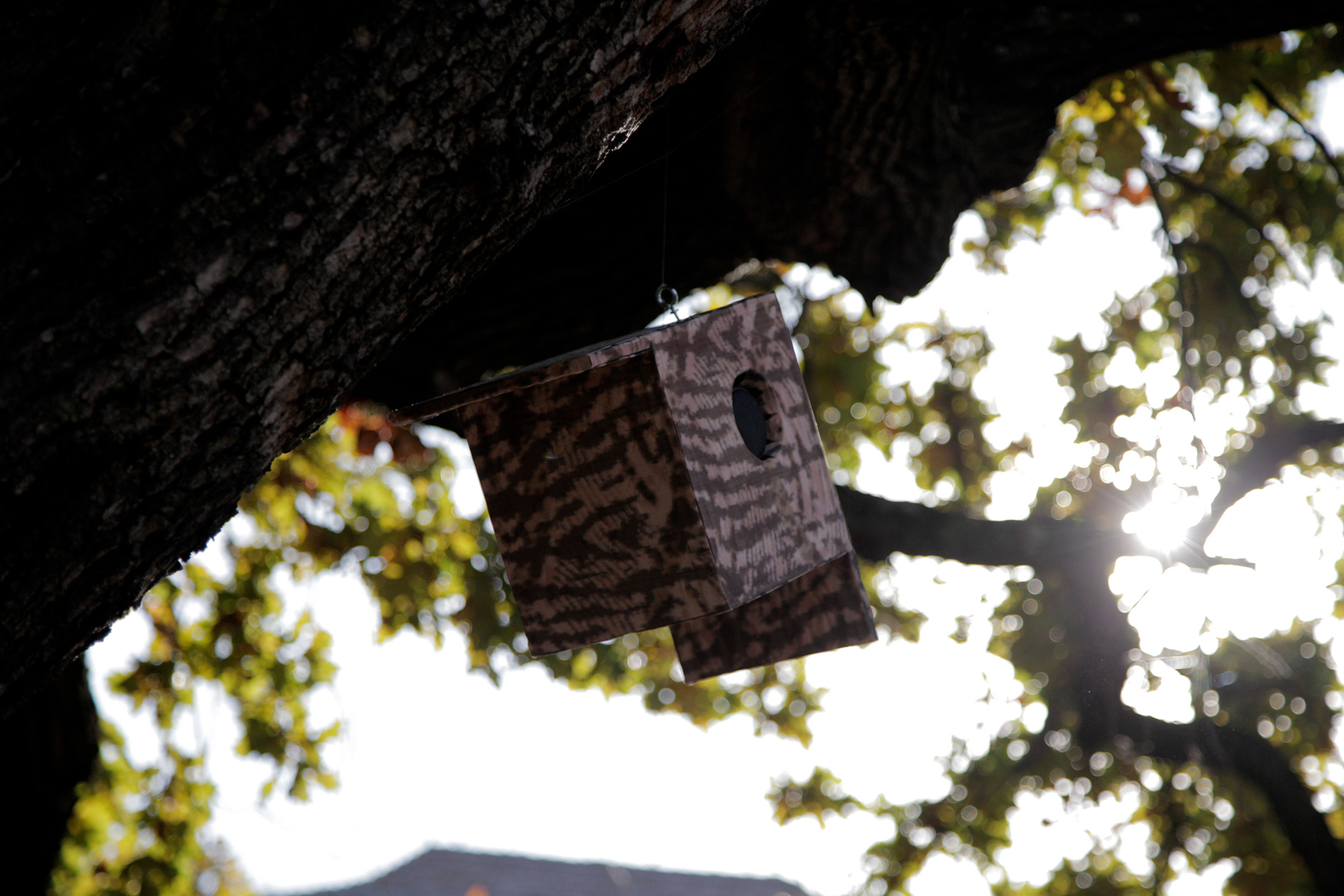 Sillyconductor - Birdhouse installation