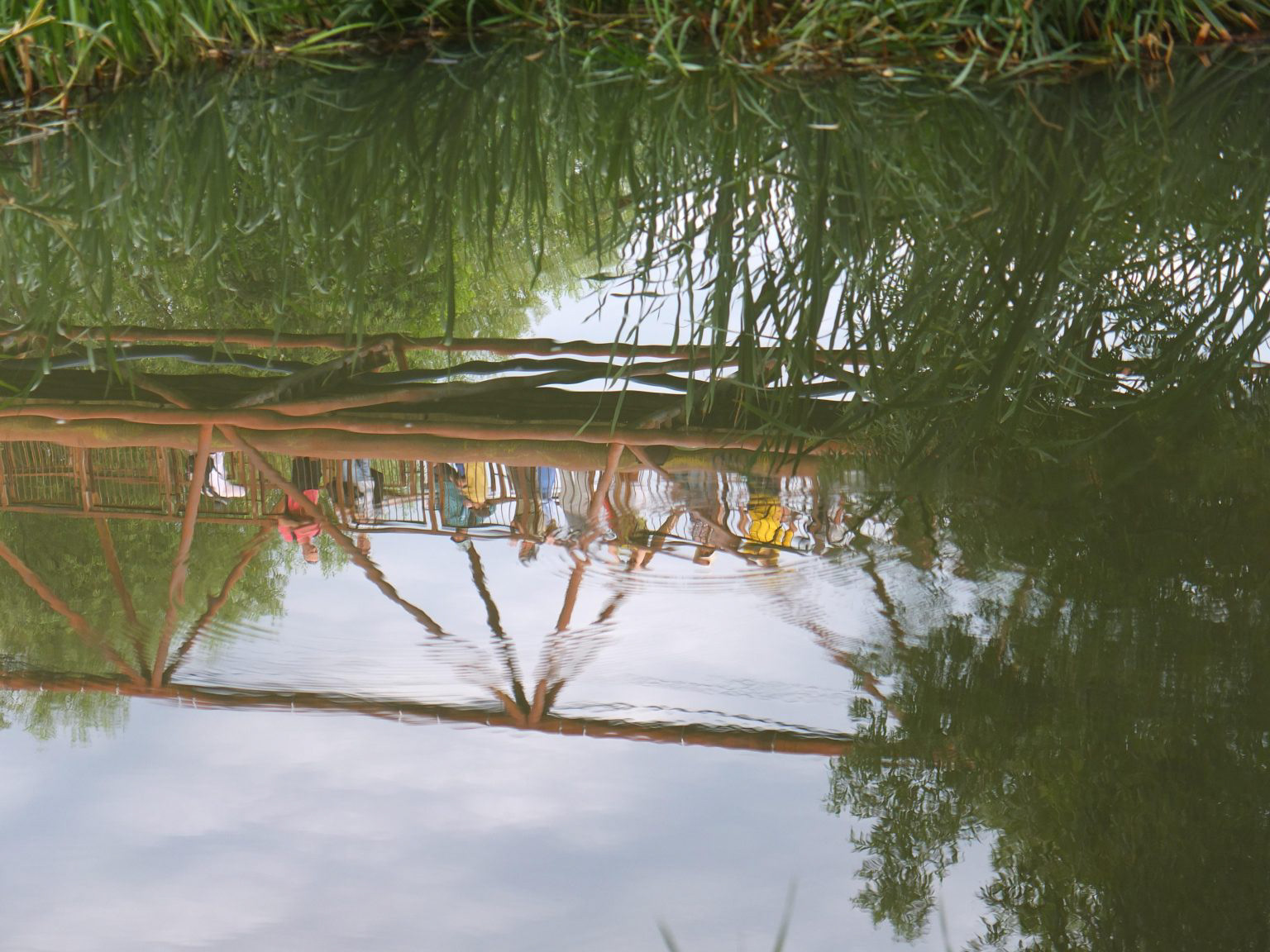 Walking by the River. The Biodiversity of the Bega Canal. photo: courtesy of Indecis