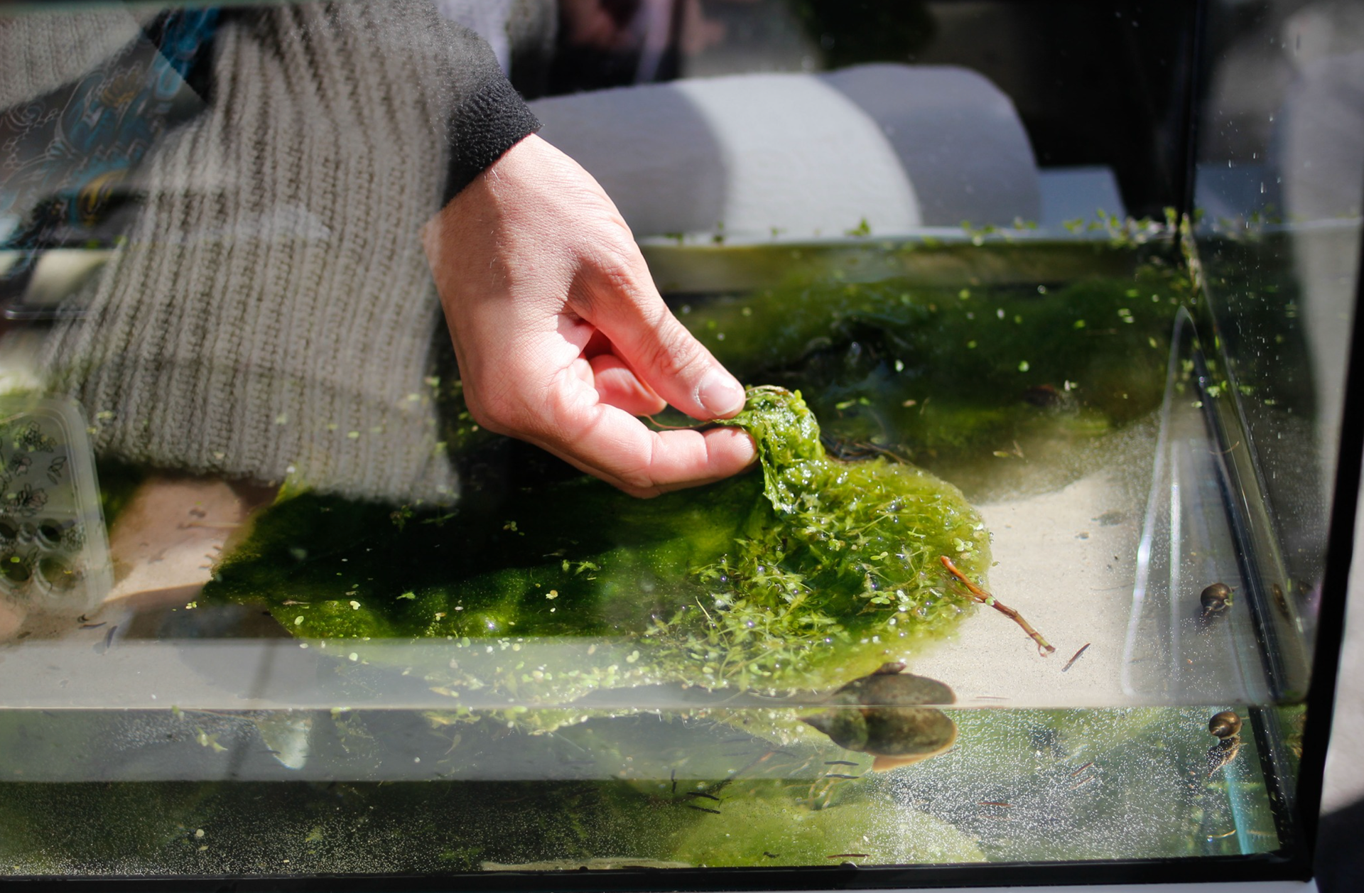 The Invisible Poetics of the Aquatic Ecosystem with Nita Mocanu & Marius Stoica, October 7–8, 2023, Uzina Hidrocentrală Timișoara – Culture Quest #4 – Photo: Mircea Ilcău