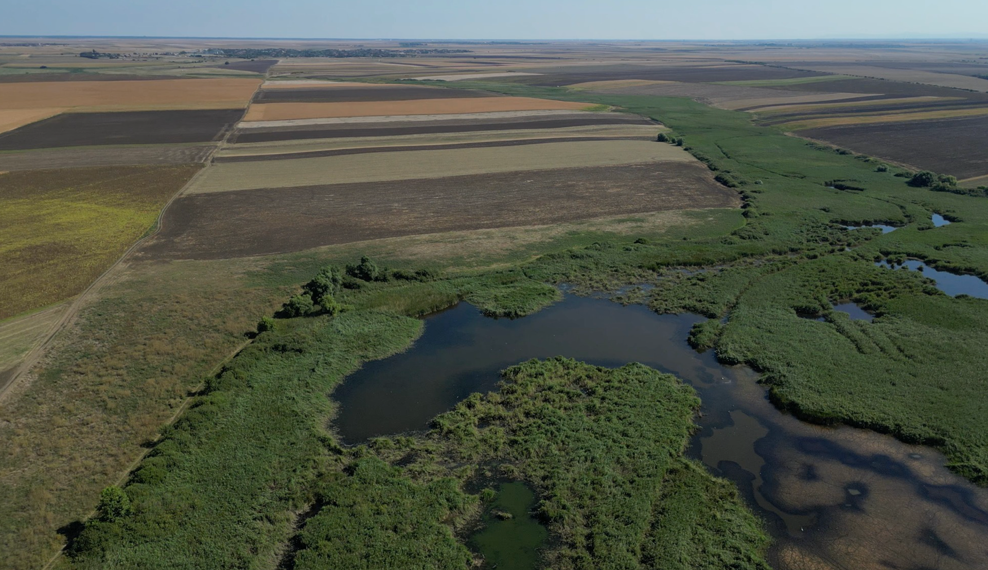 Expedition to the Satchinez Ornithological Reserve. photo: courtesy of Indecis