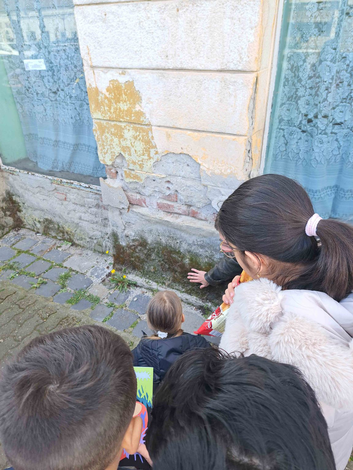POD – Program de Observare și Descoperire. photo courtesy of Indecis artist-run