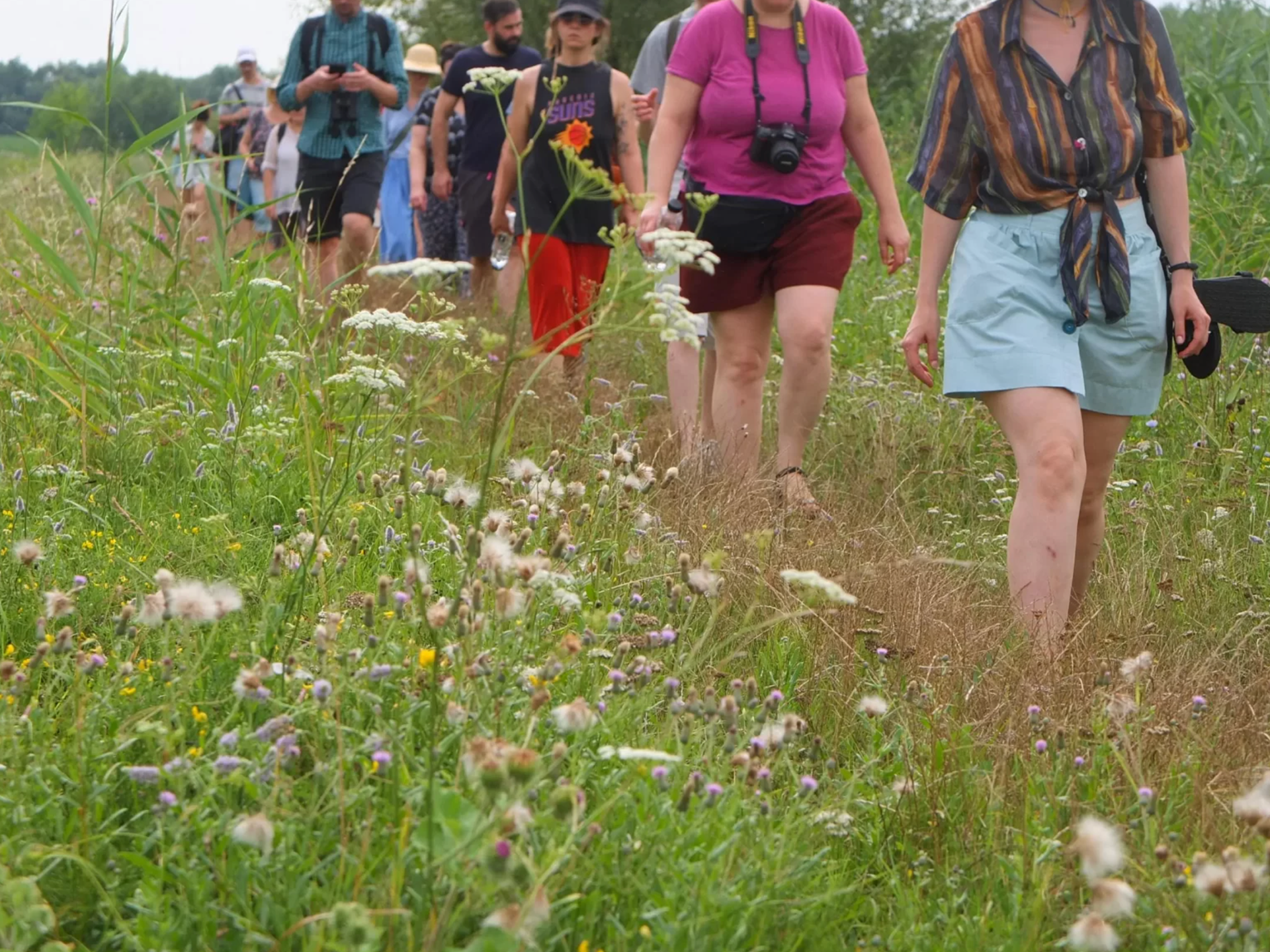 Walking by the River. The Biodiversity of the Bega Canal. photo: courtesy of Indecis