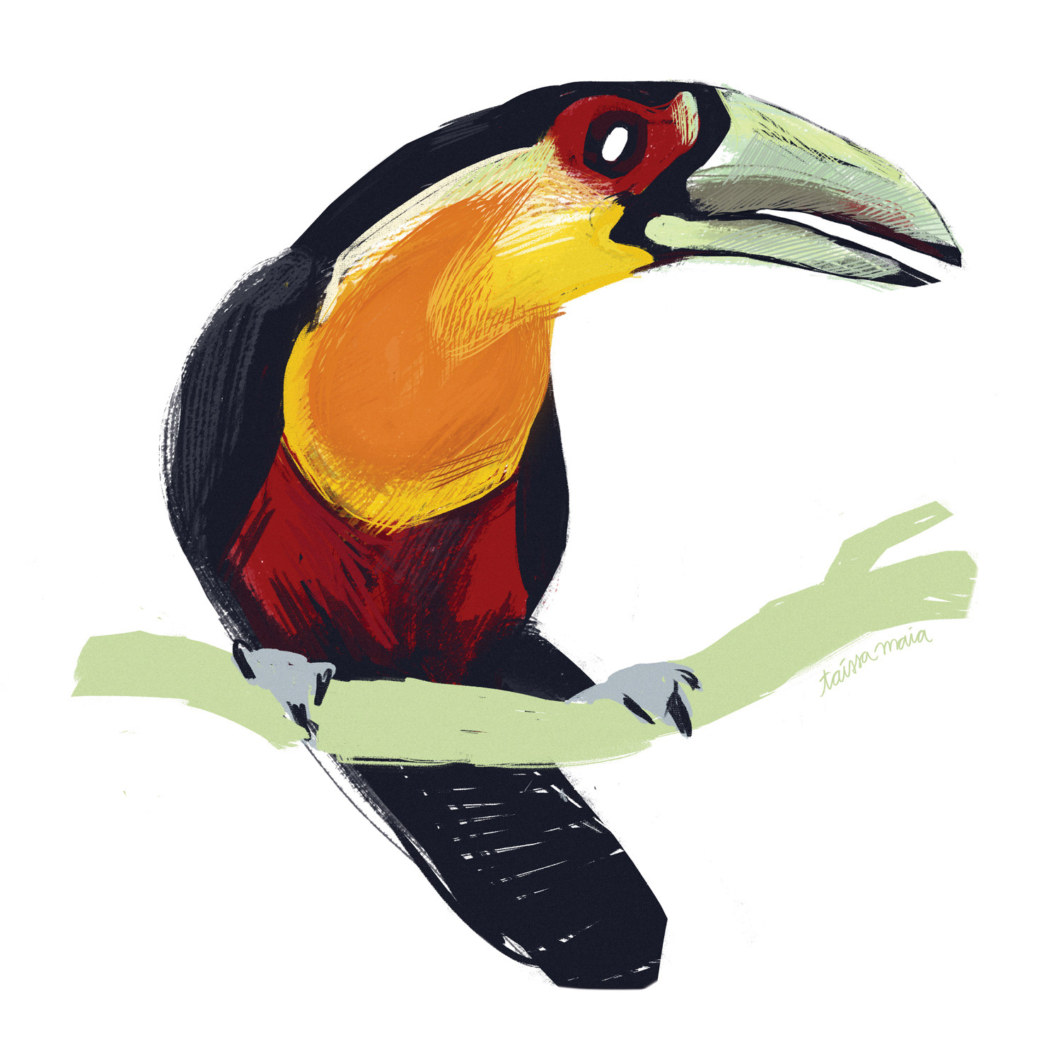TUCANO