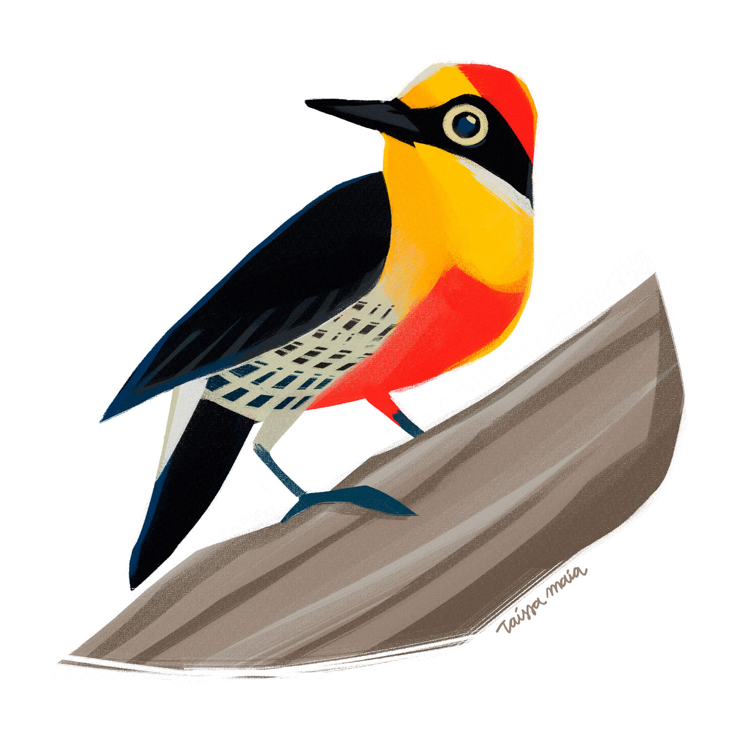 SOLDADINHO DO ARARIPE