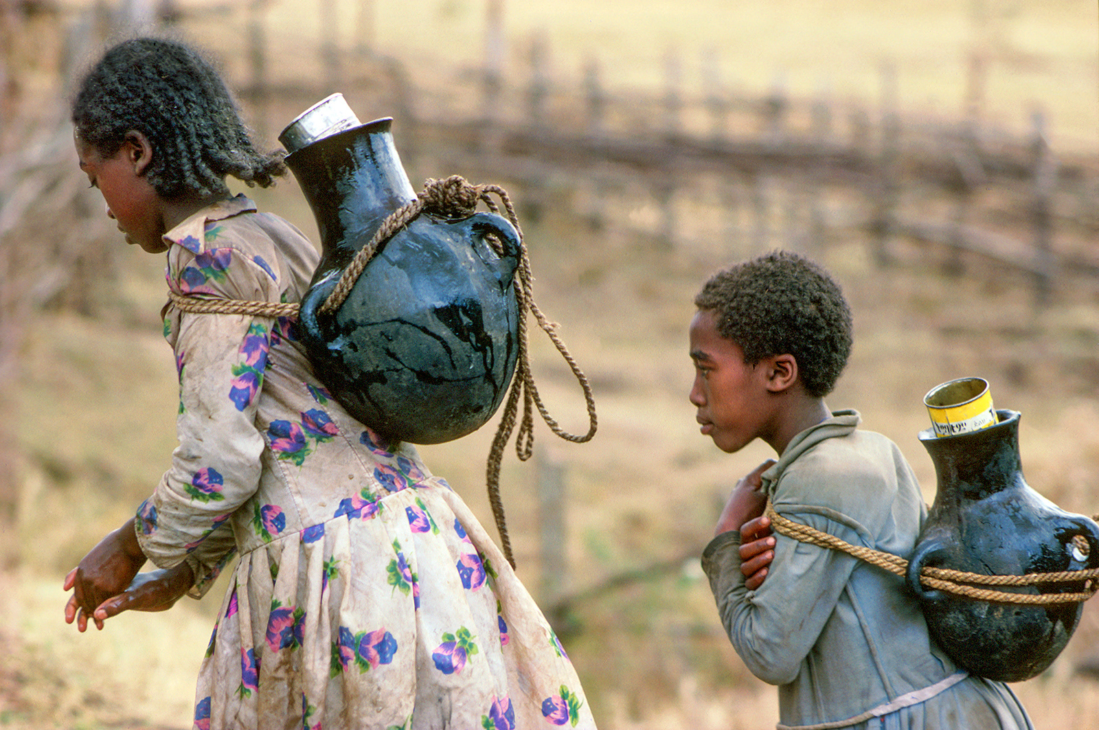Girls walking to their village from distant well. Shoa. Ethiopia