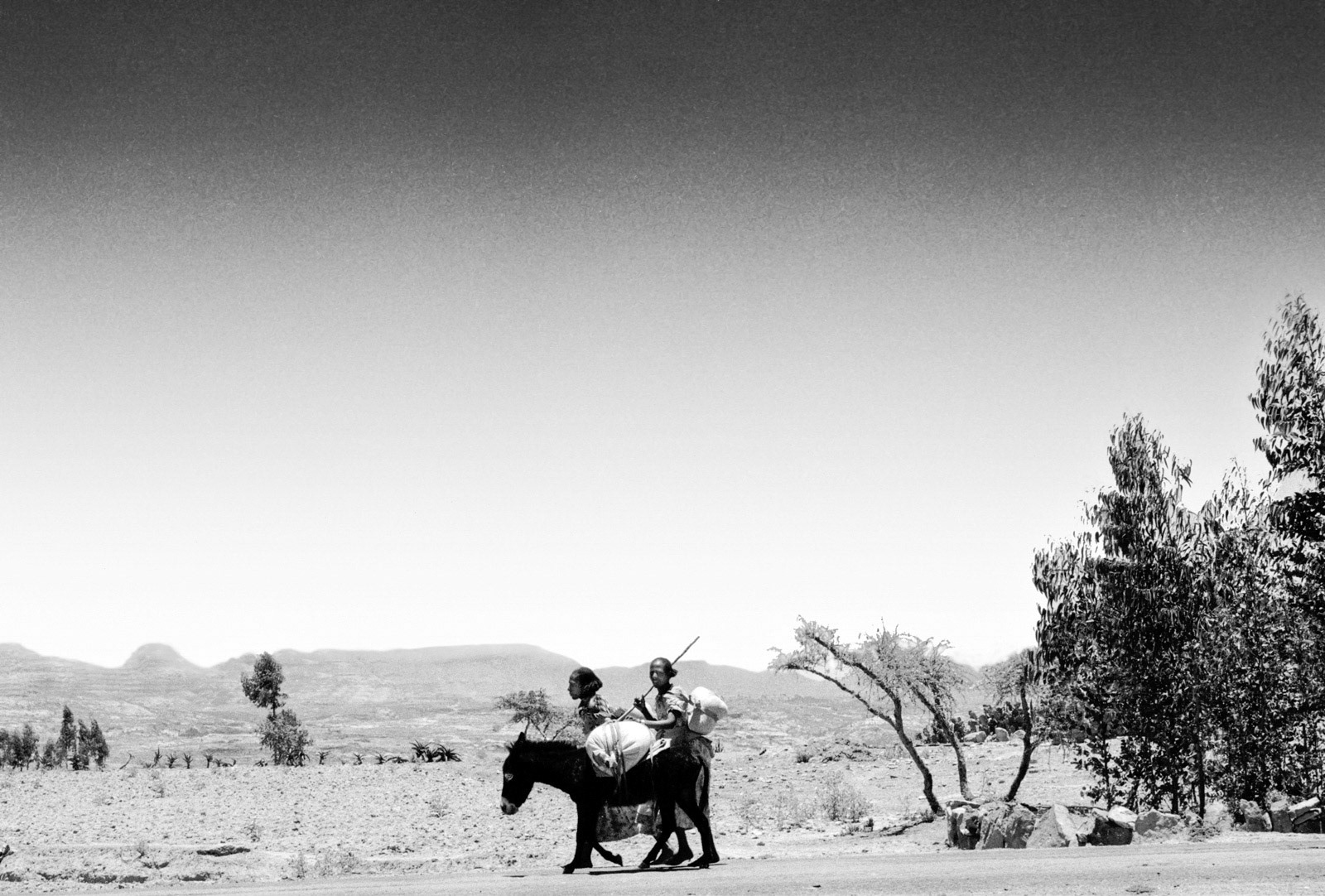 Going home from market. nr Makele, Ethiopia