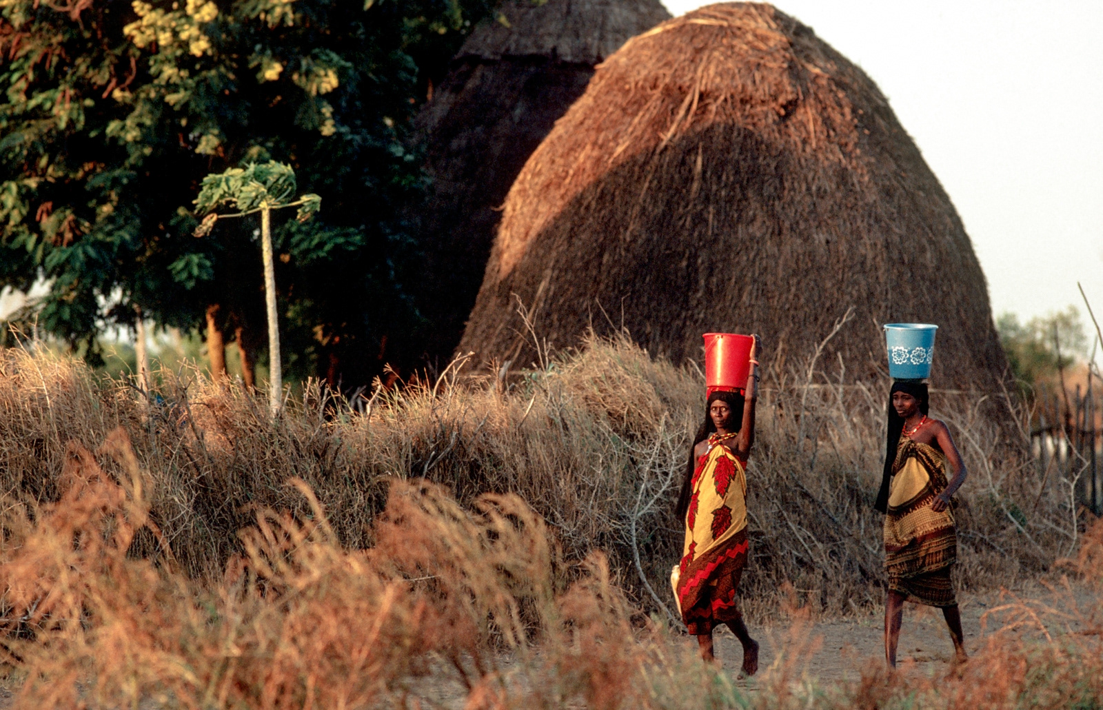 Orma women returning from a well. nr Wajir, Kenya