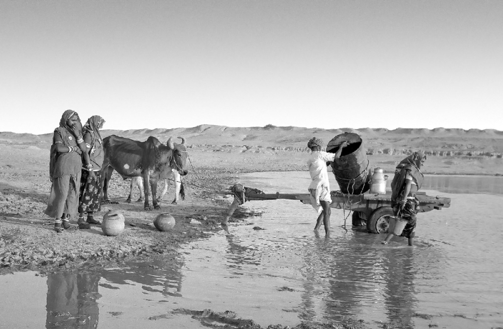 Collecting water from a pond. Rajasthan, India