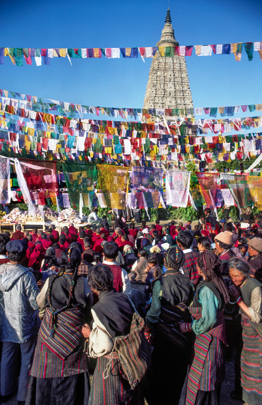 Tibetan pilgrims, Mahabodhi Temple. Bodh Gaya, India