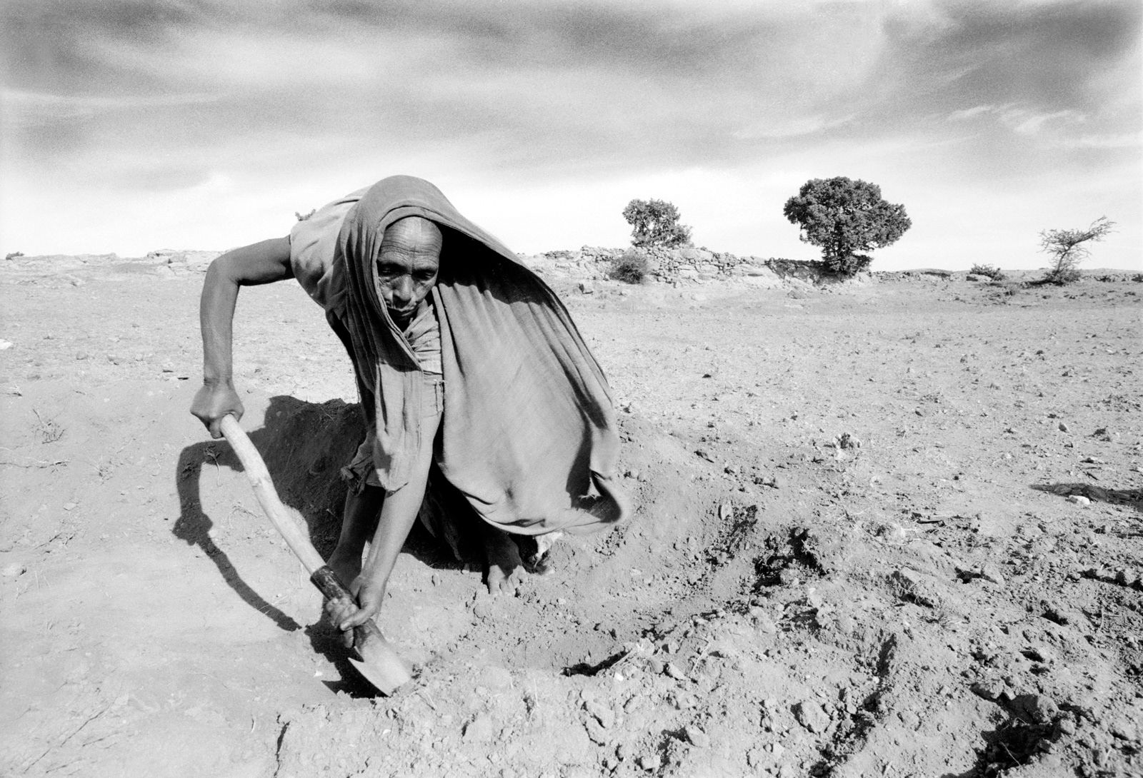 Terracing hillside. Northern Highlands. Tigray, Ethiopia
