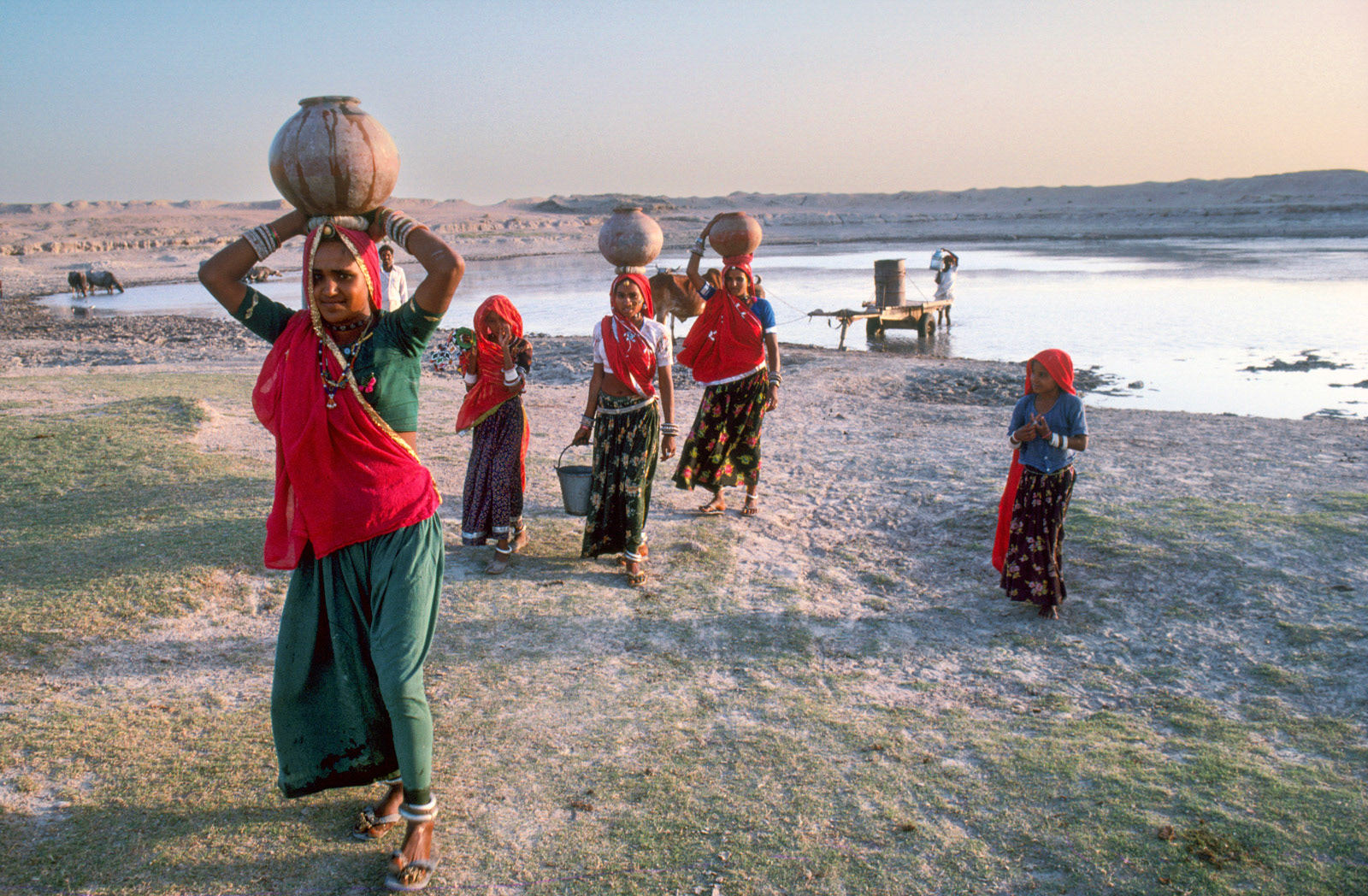 Carrying water from a reservoir. Rajasthan, India