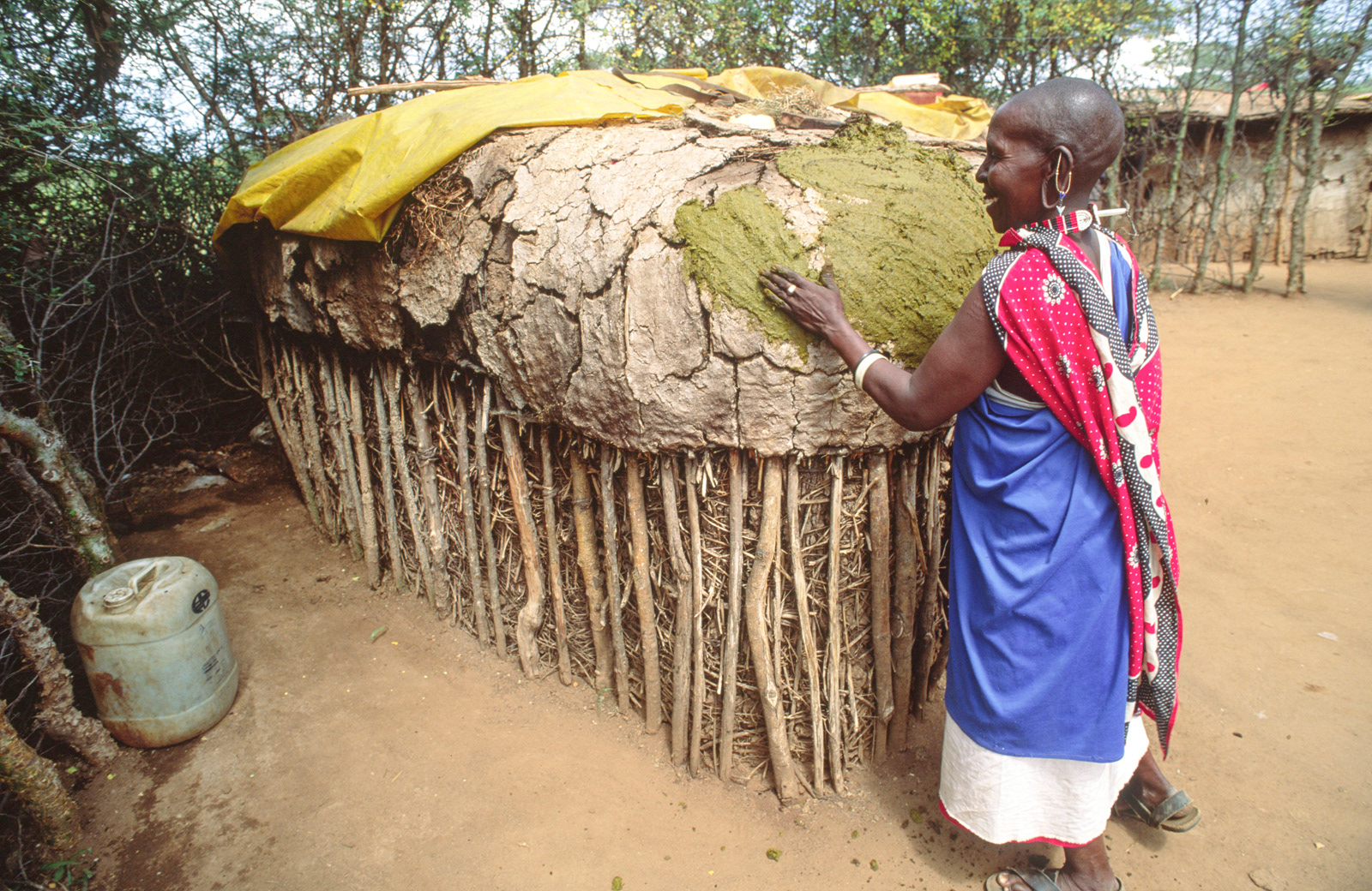 Water-proofing traditional house with cattle dung. Kenya