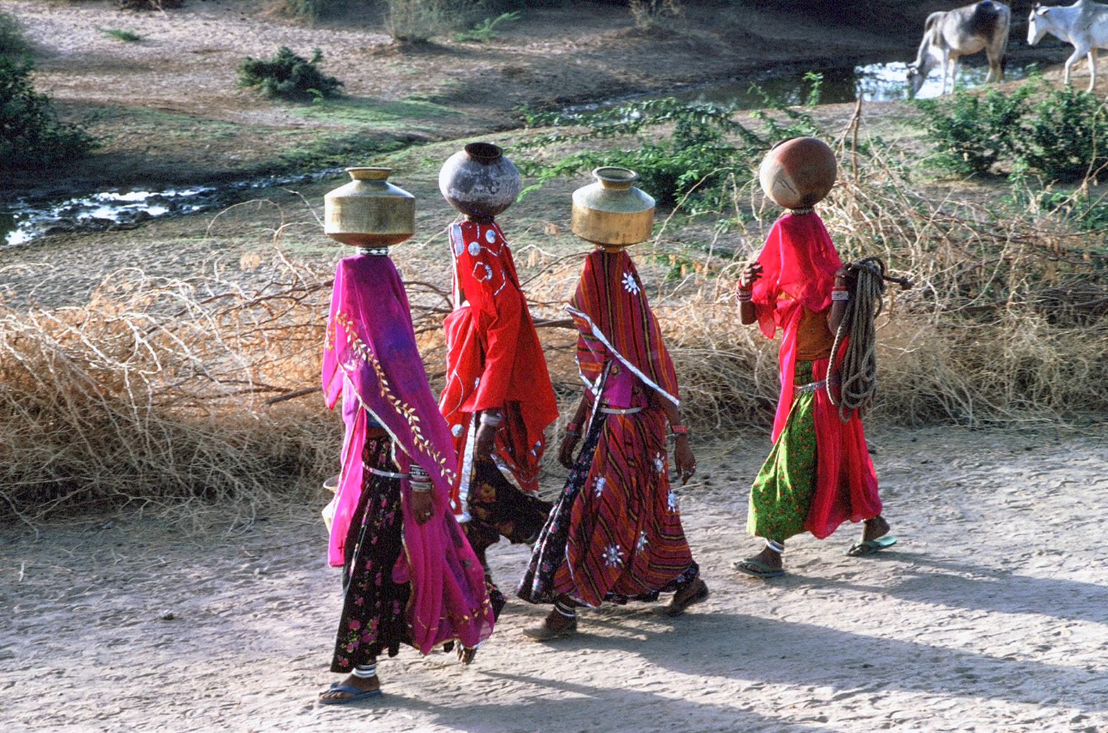 Walking to the well. Rajasthan, India