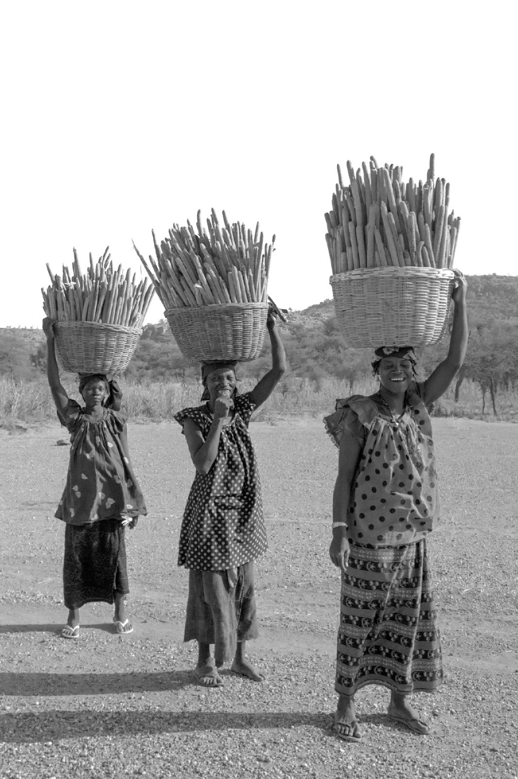 Dogon women with millet. Bandiagara Escarpment, Mali