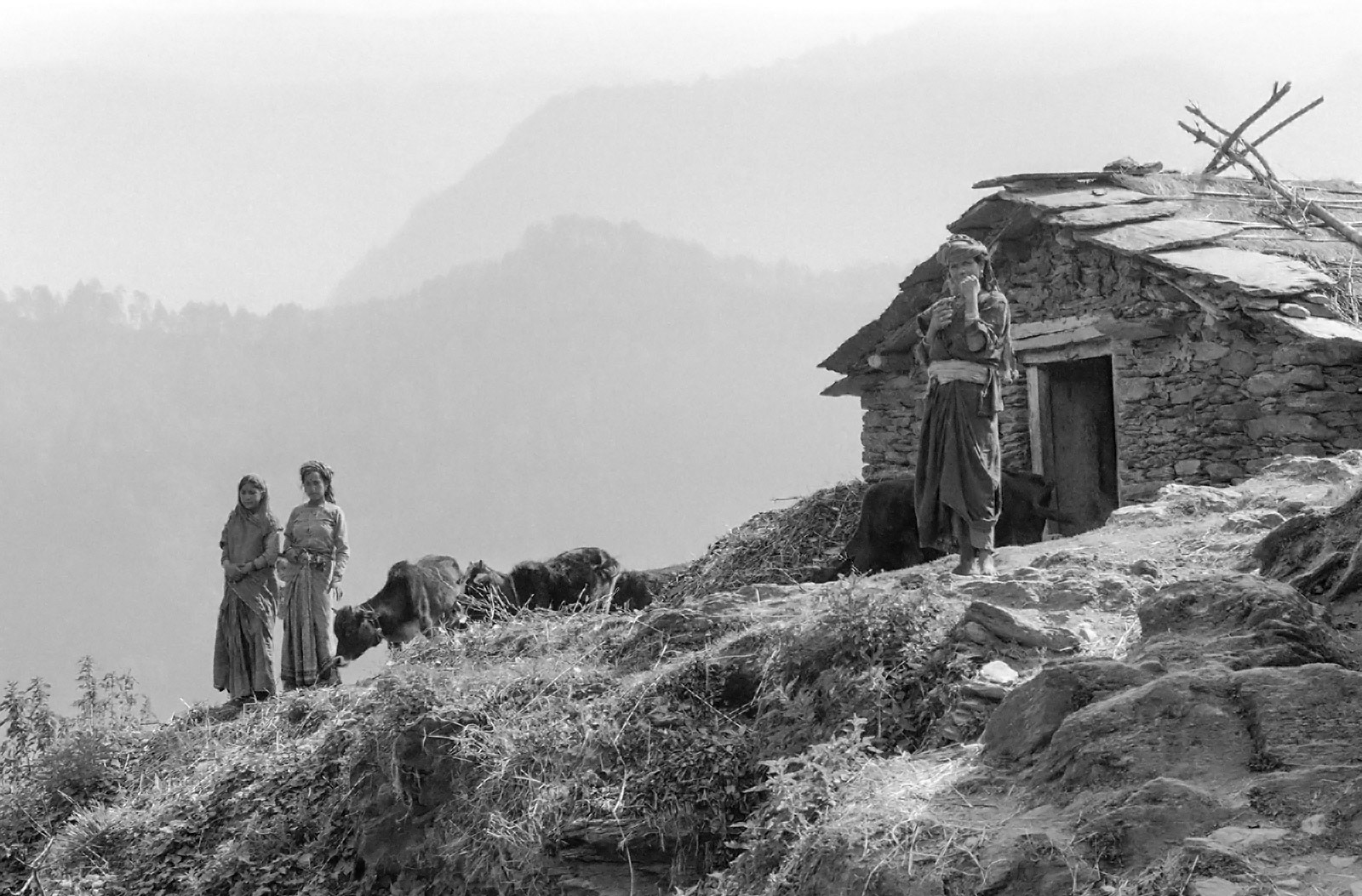 Remote mountain household. Garwhal Himal. India