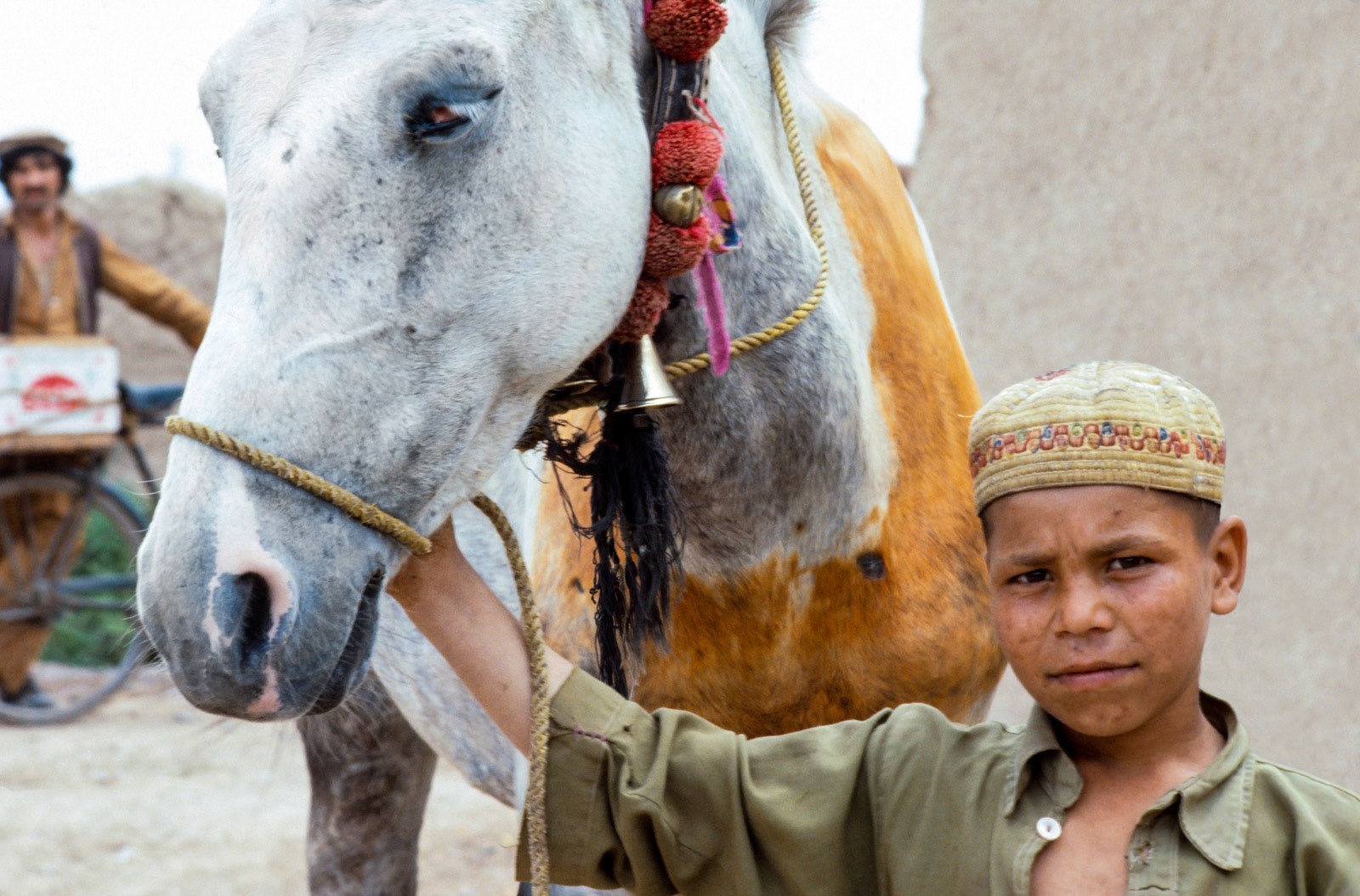 Afghan refugee boy. Peshawar, Pakistan