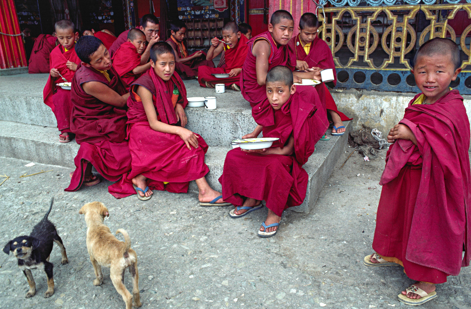 Young Buddhist monks having lunch. Rumtek, Sikkim, India