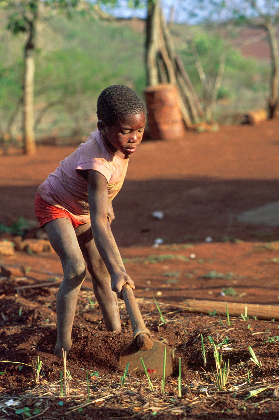 Boy working on poor families land. Eswatini