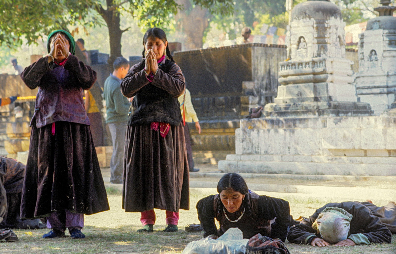 Buddhist worshippers prostrating in temple gardens. Bodh Gaya, India
