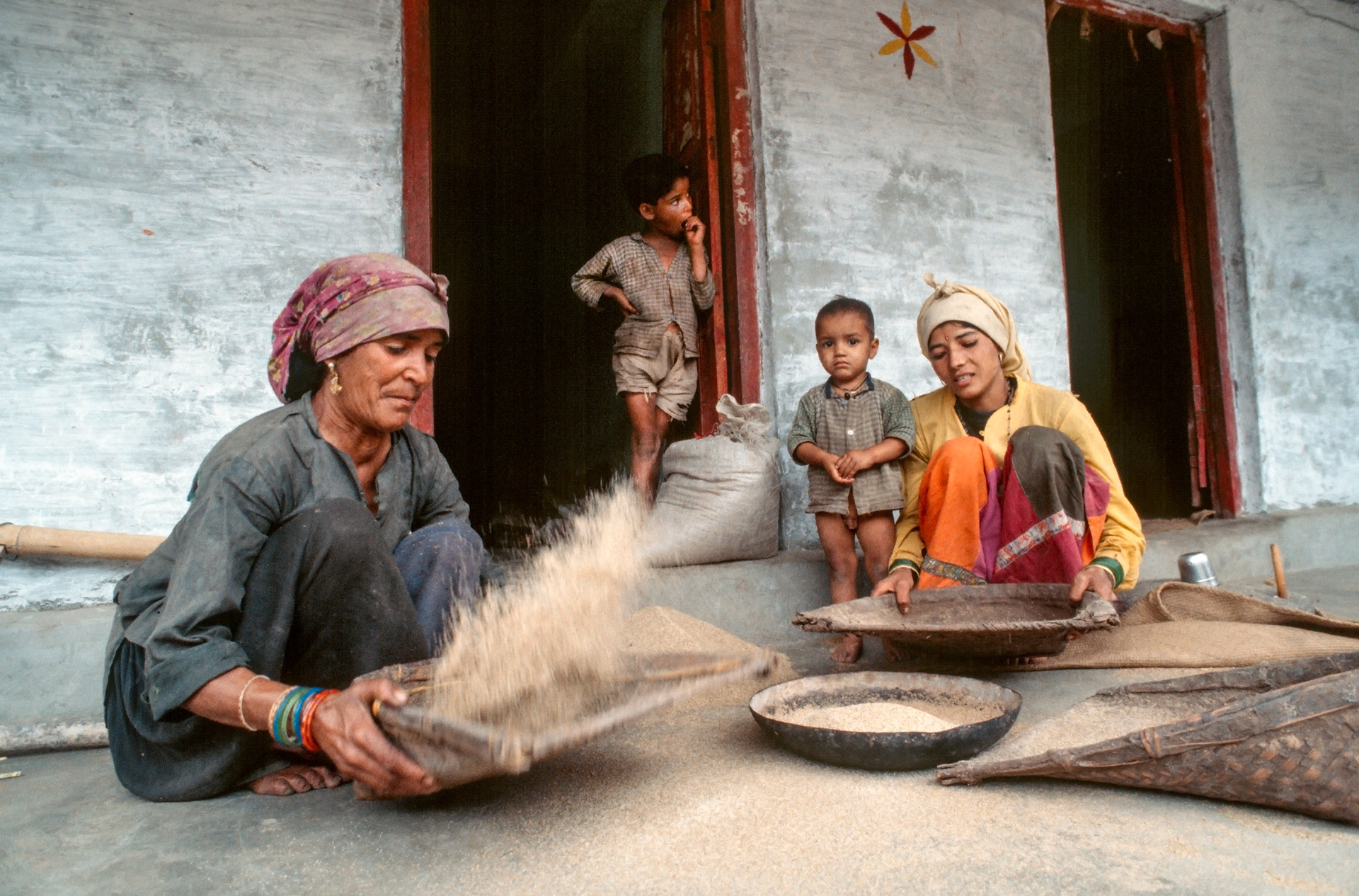 Winnowing grain. Tehri Garwhal, Uttarakhand. India.