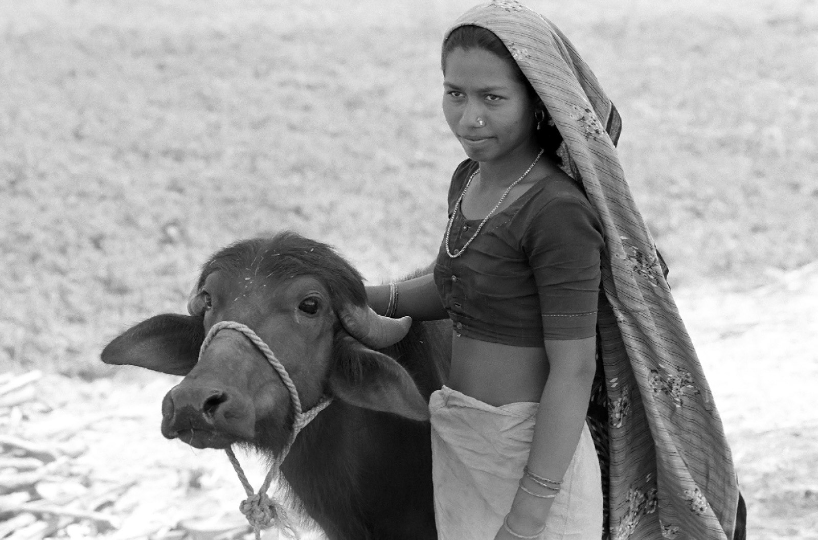 A farm girl with a water buffalo calf. Gujarat, India