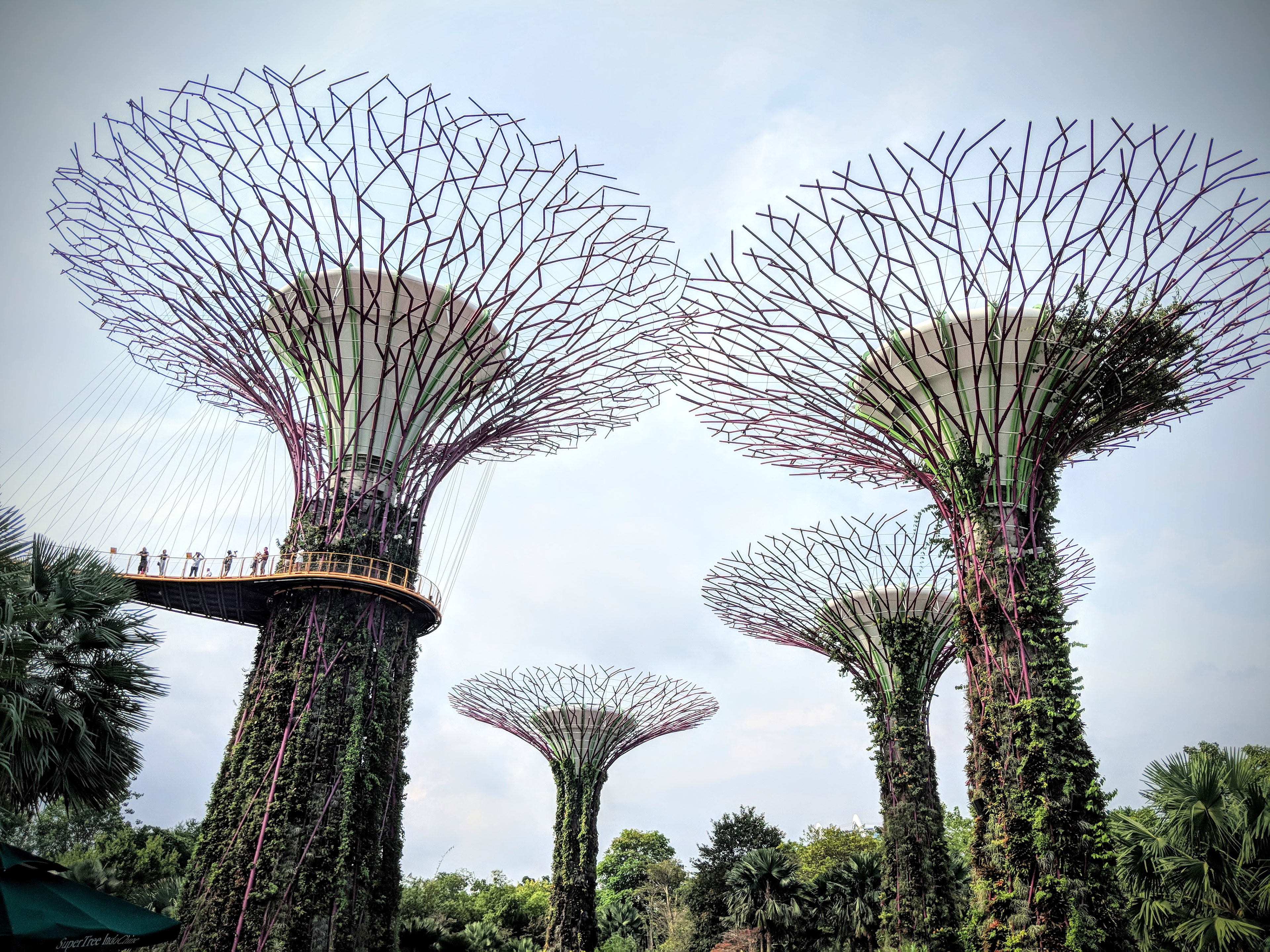 Singapore