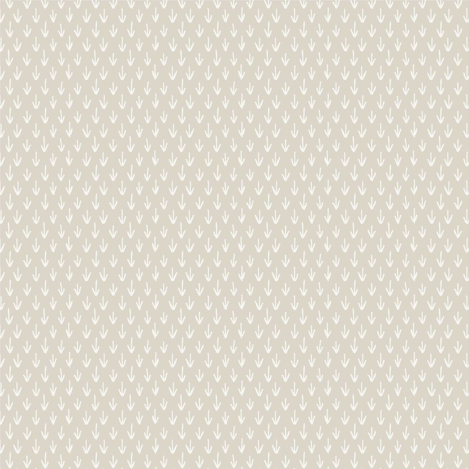 0006-005