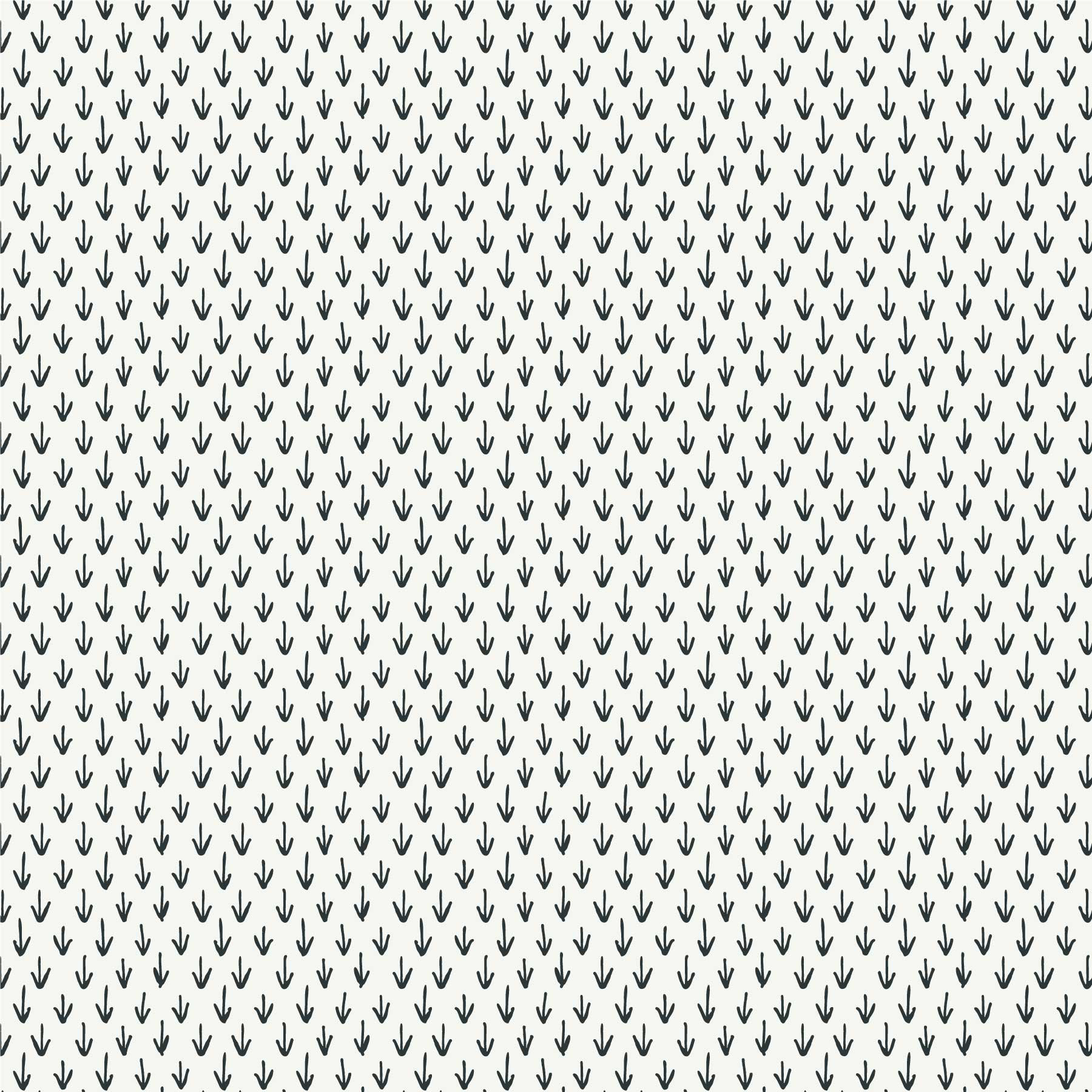 0006-004