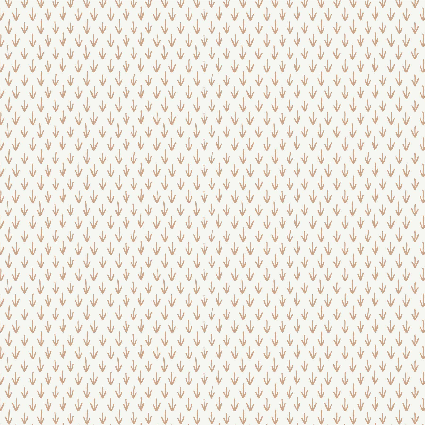 0006-007