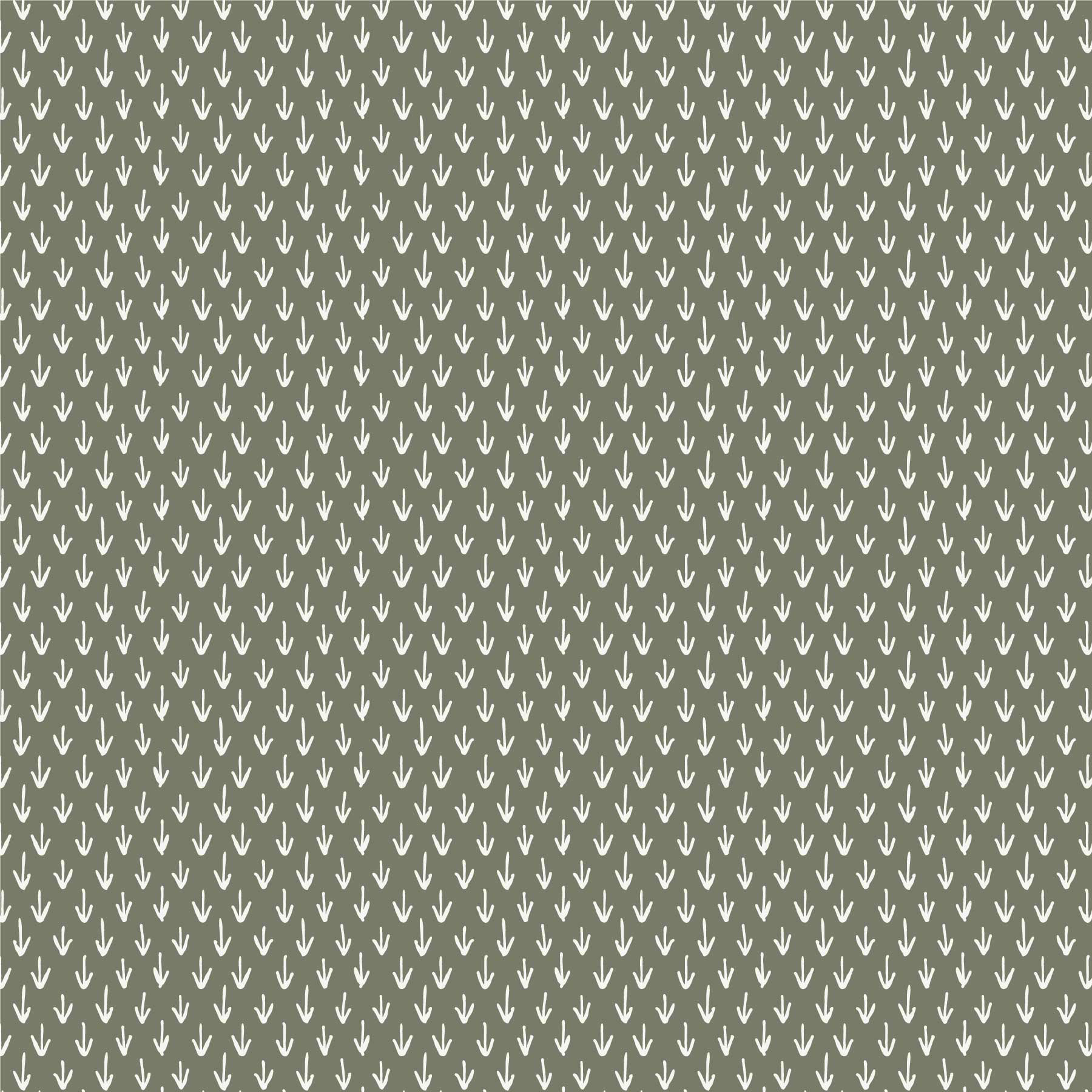 0006-009