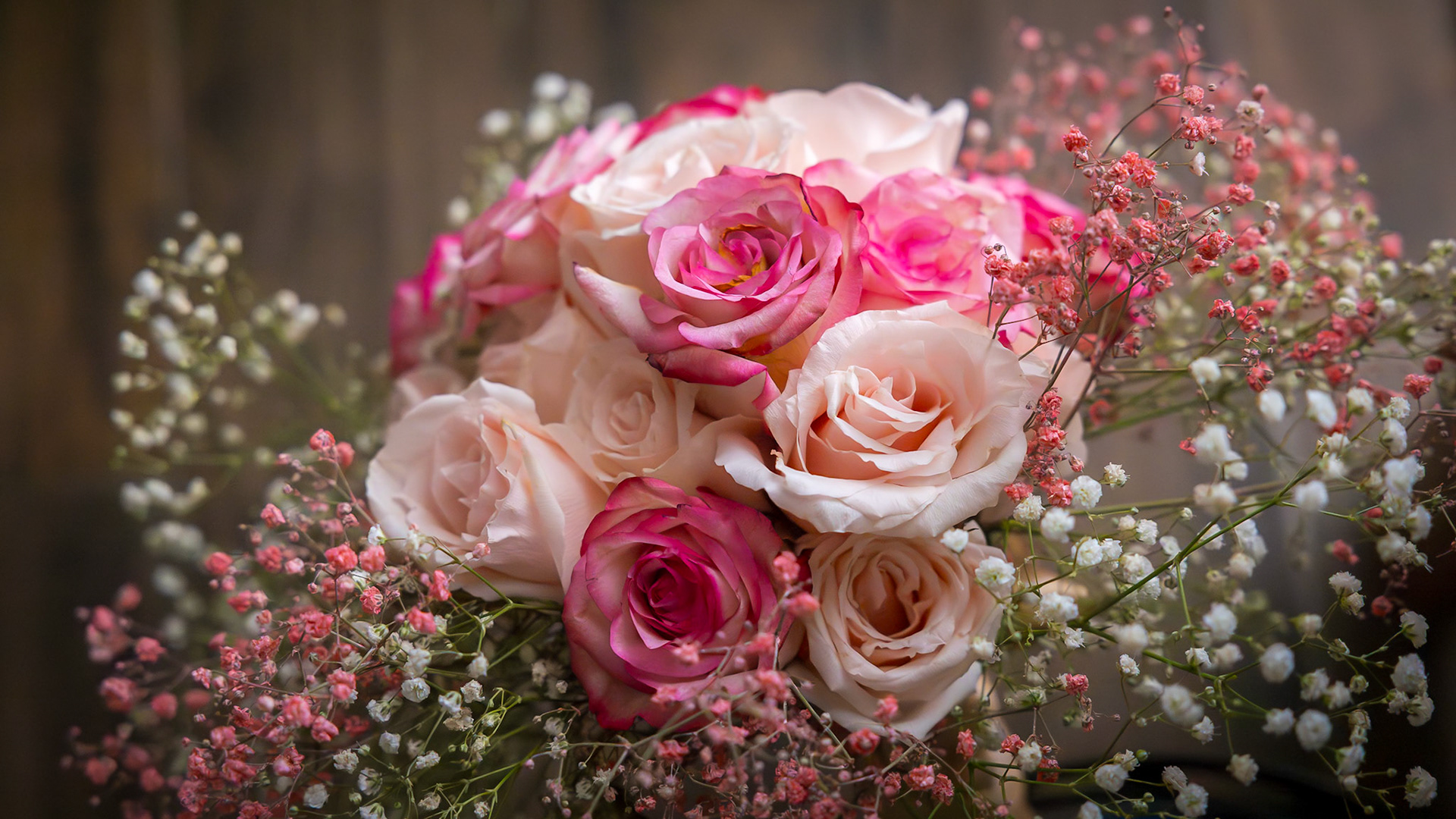 Mariage de Jamila et Christophe (2023-06-17)