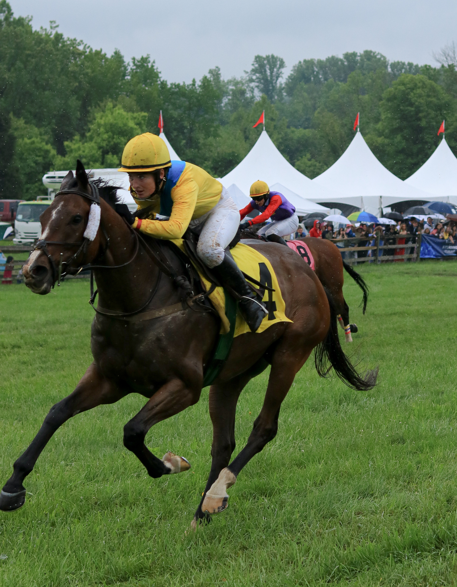 Jockey racing at the 93rd Randnor Hunt Races in May, 2024.