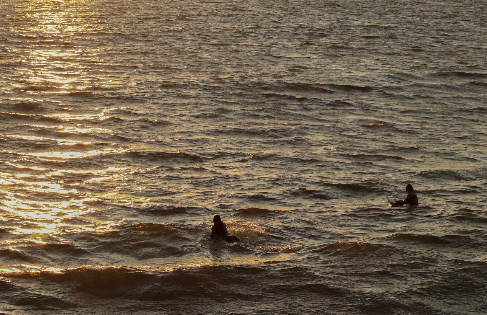 Surfers during golden hour at Venice Beach in Los Angeles.