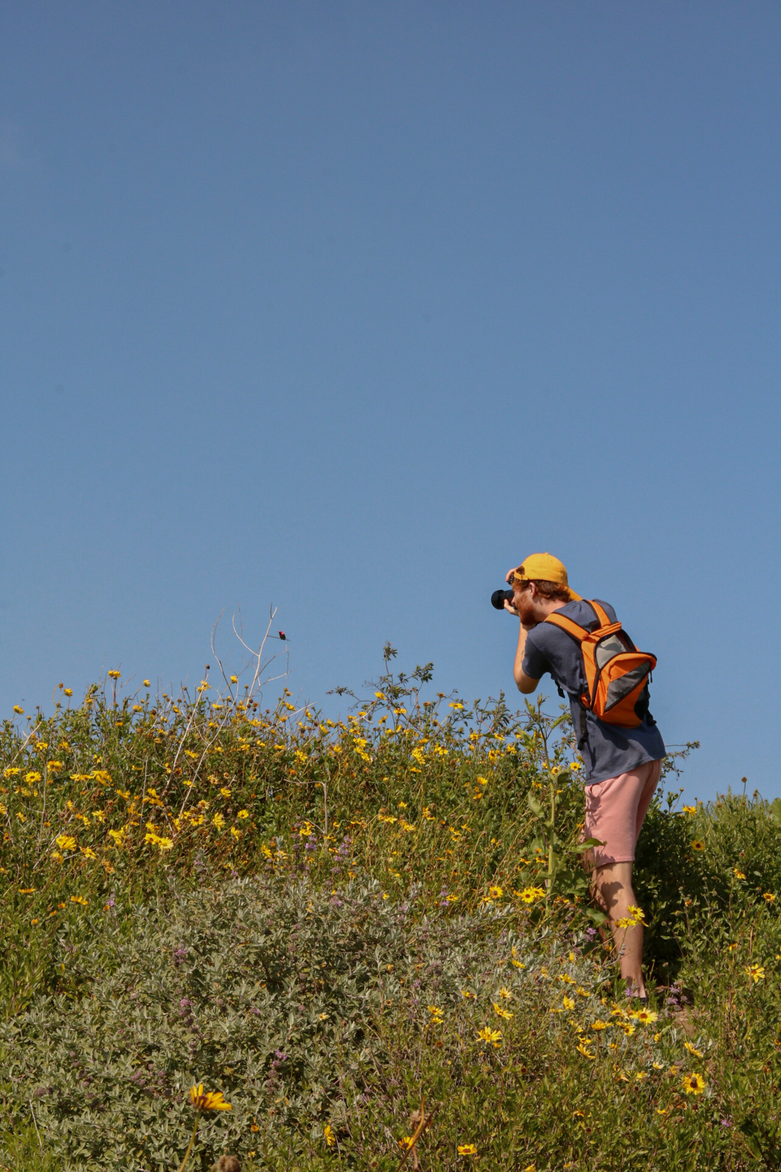 Conner White takes a photo of a bird on a hiking trail in Los Angeles.