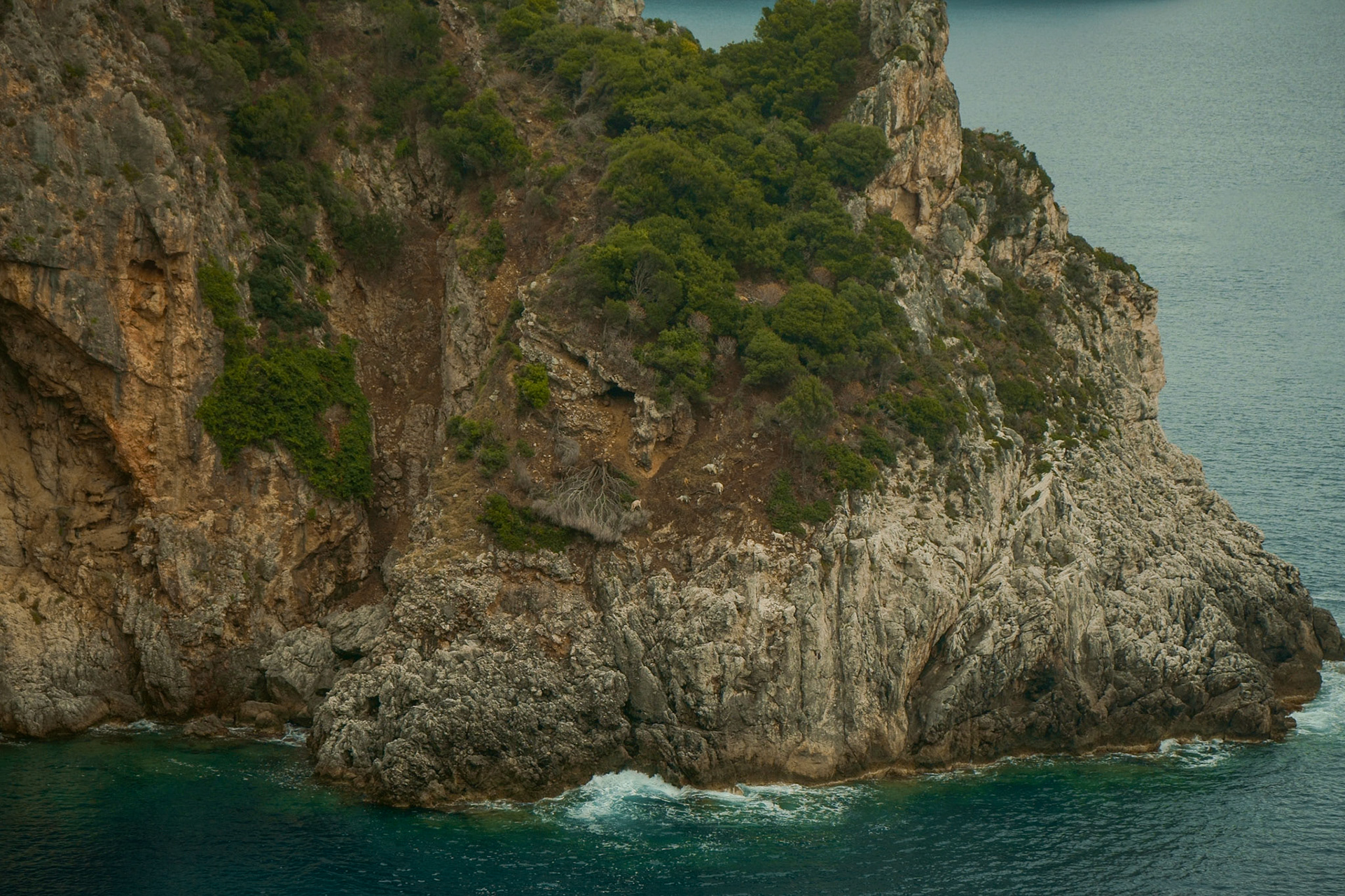 GREECE - Can you spot the goats ?