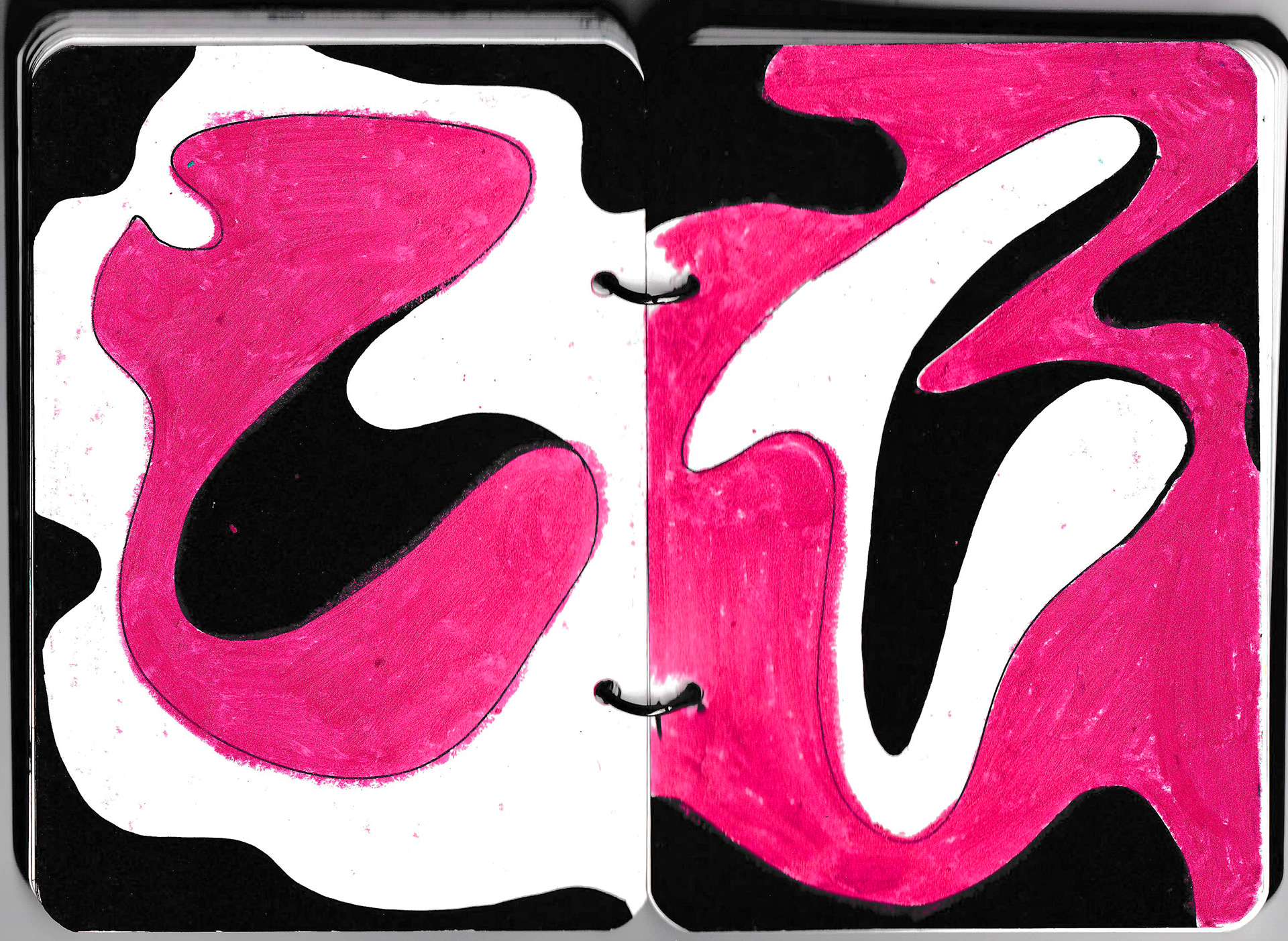 my diary drawings