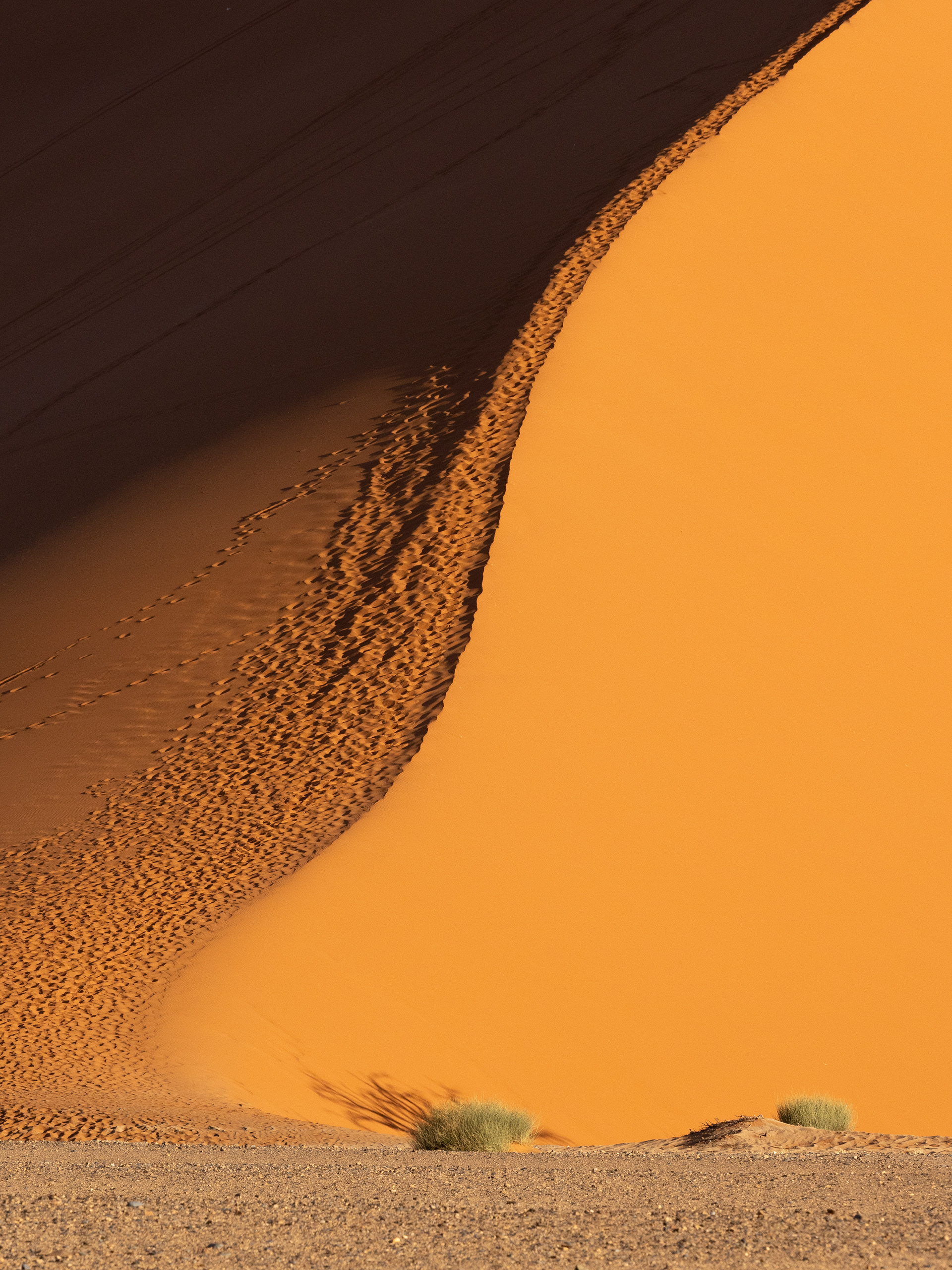 Sossusvlei VII - Sossusvlei, Namibia.