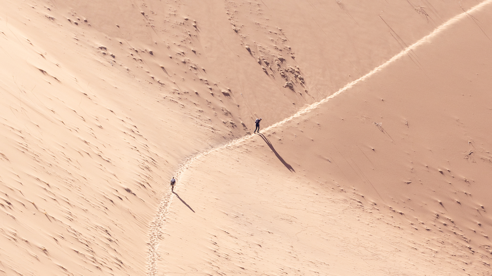 The Lonely Trek - Deadvlei, Namibia.