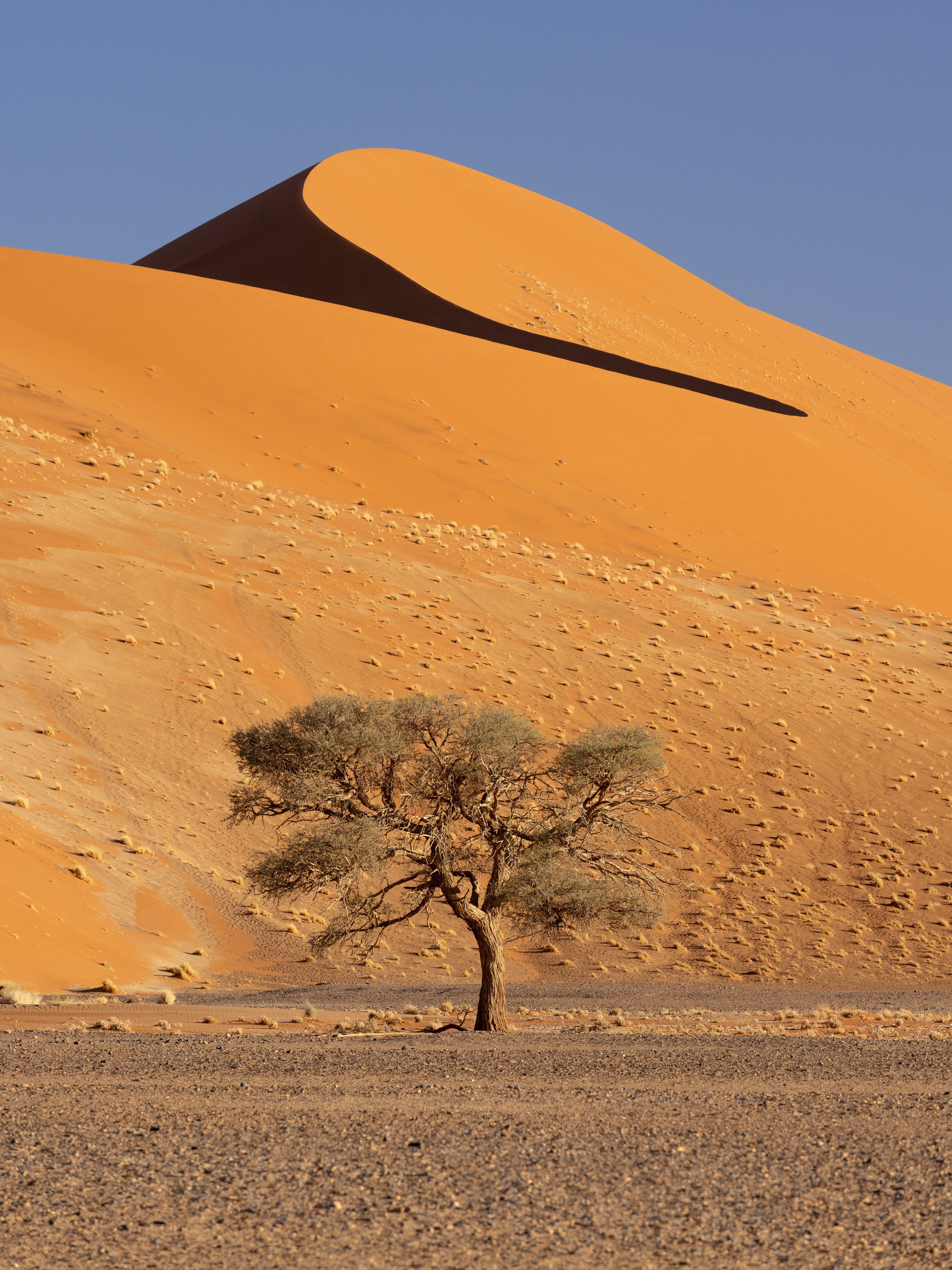 Sossusvlei VI - Sossusvlei, Namibia.